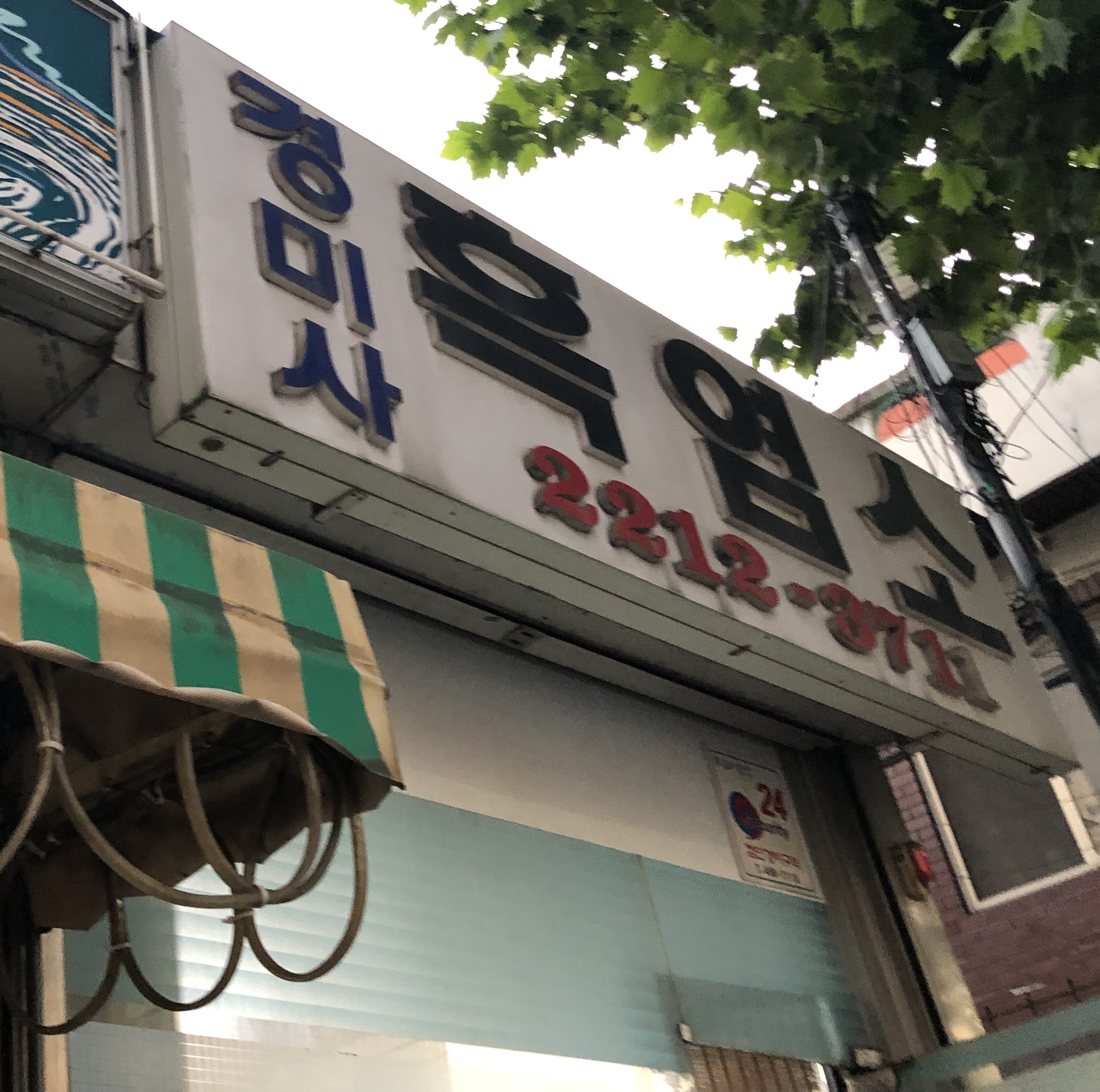 경미사흑염소