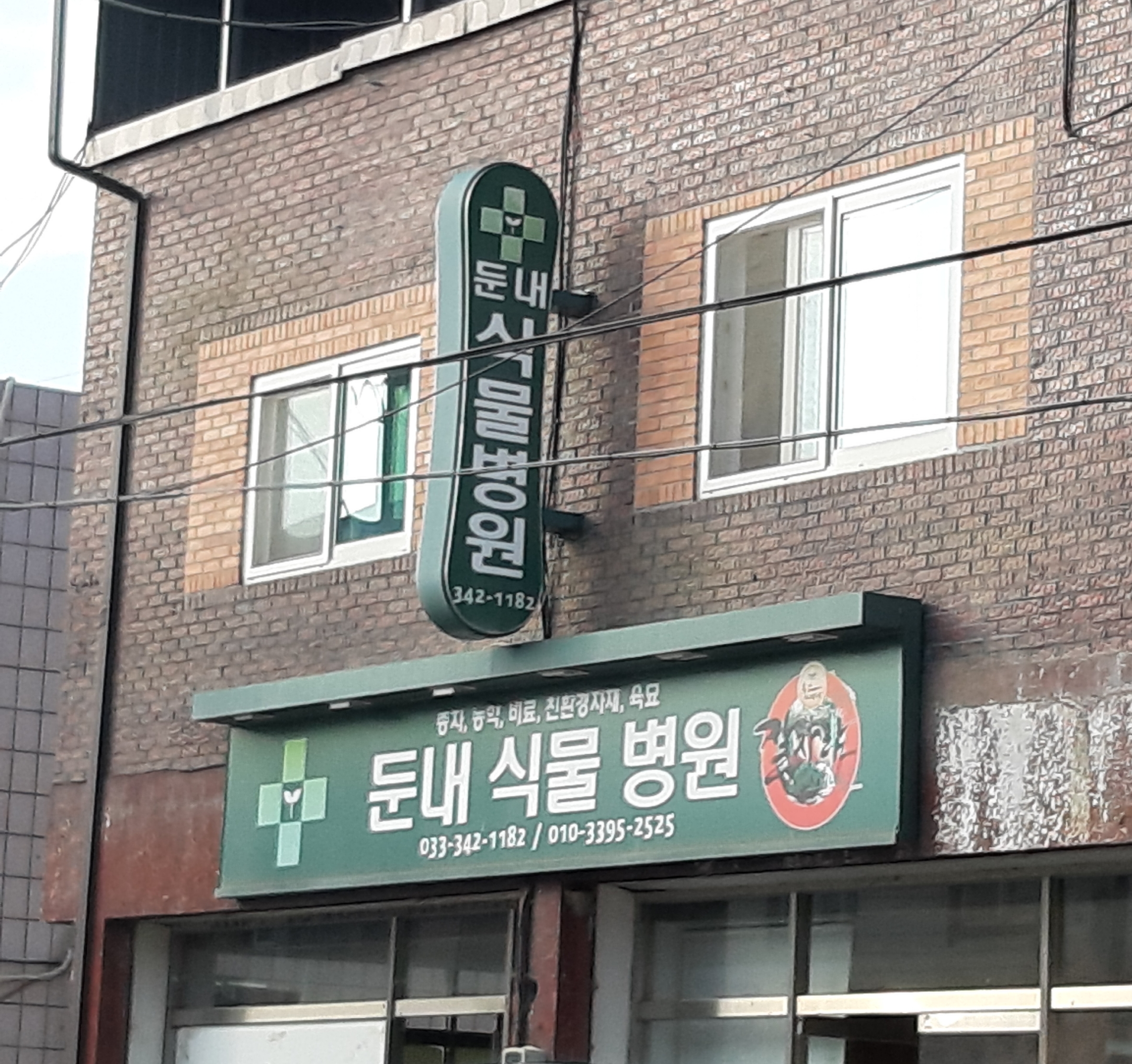 둔내식물병원