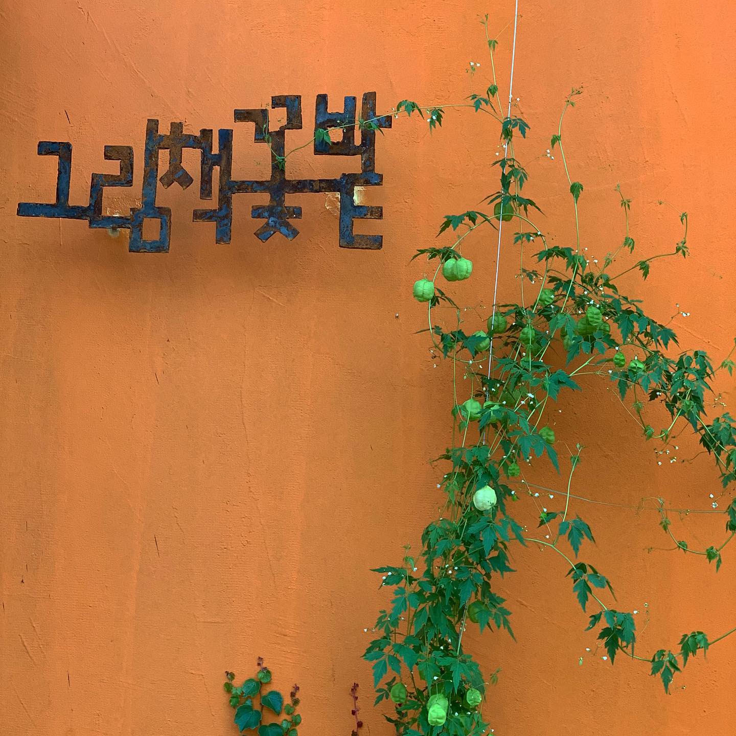그림책꽃밭