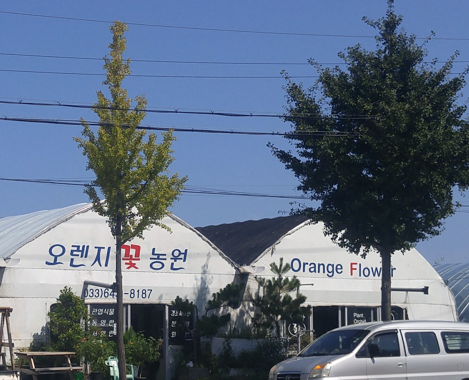 오렌지꽃농원