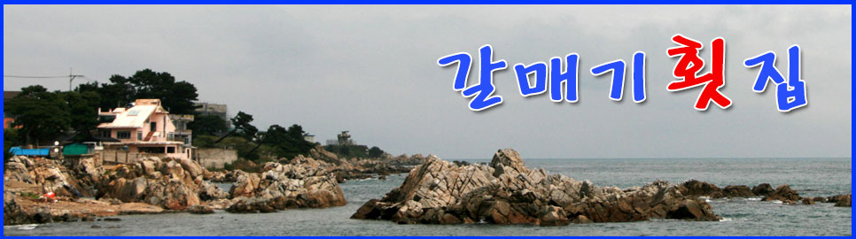 갈매기횟집