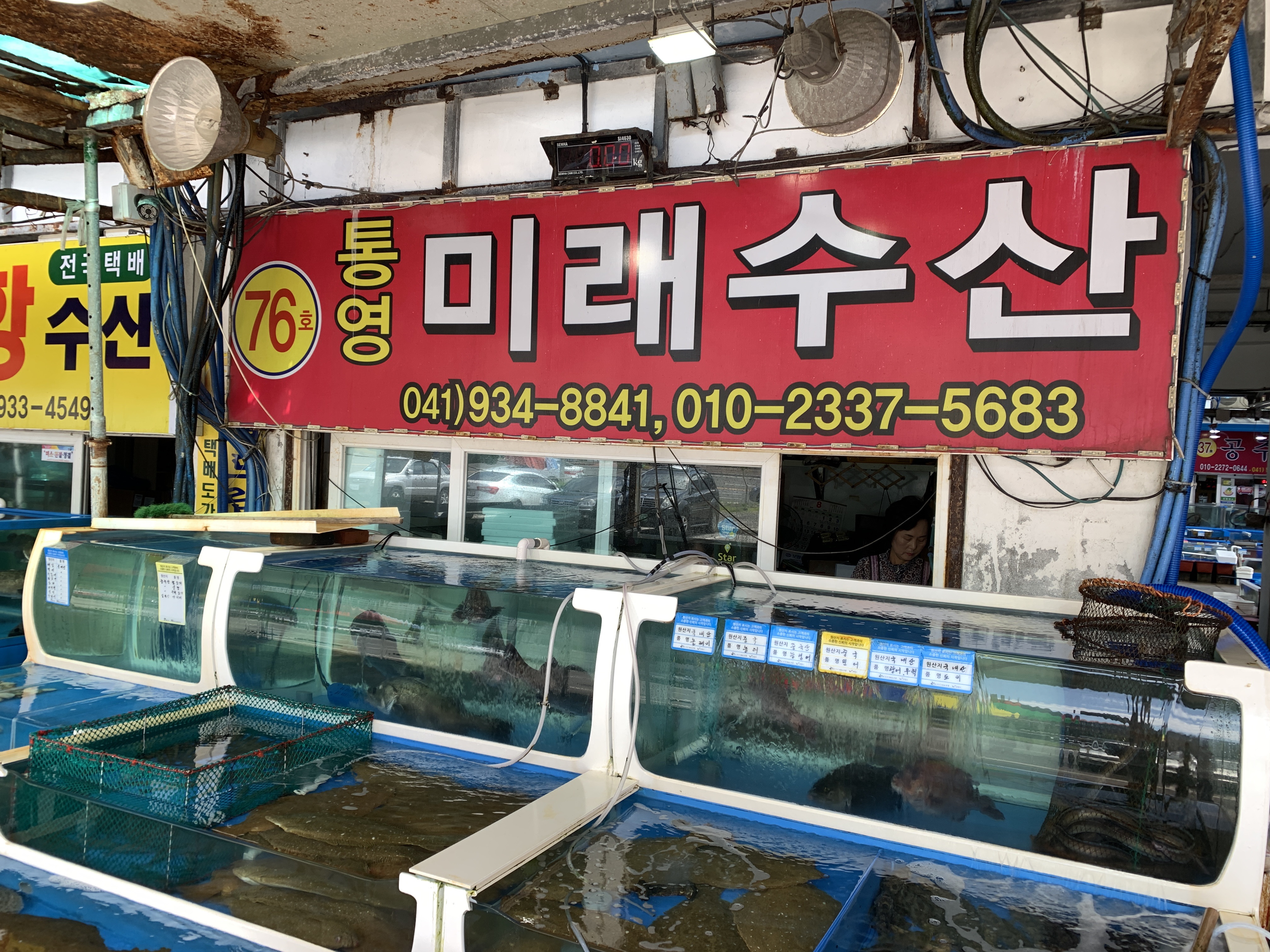 통영미래수산