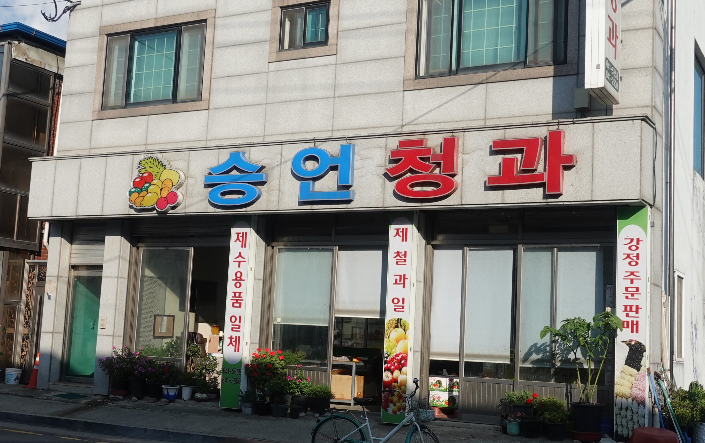 승언청과