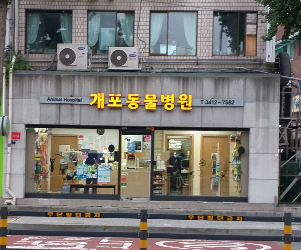 개포동물병원 대표 이미지