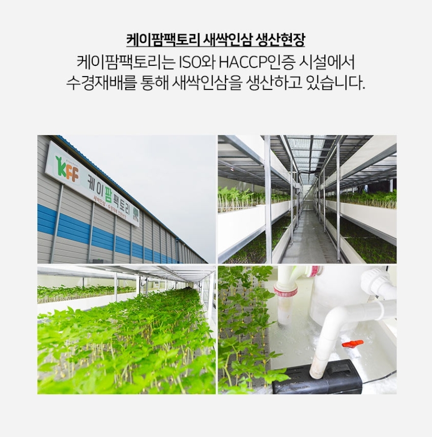 케이팜팩토리