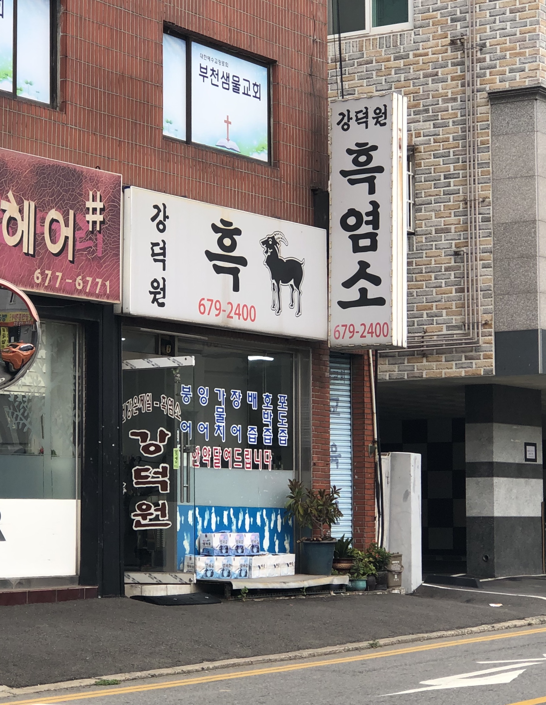 강덕원흑염소