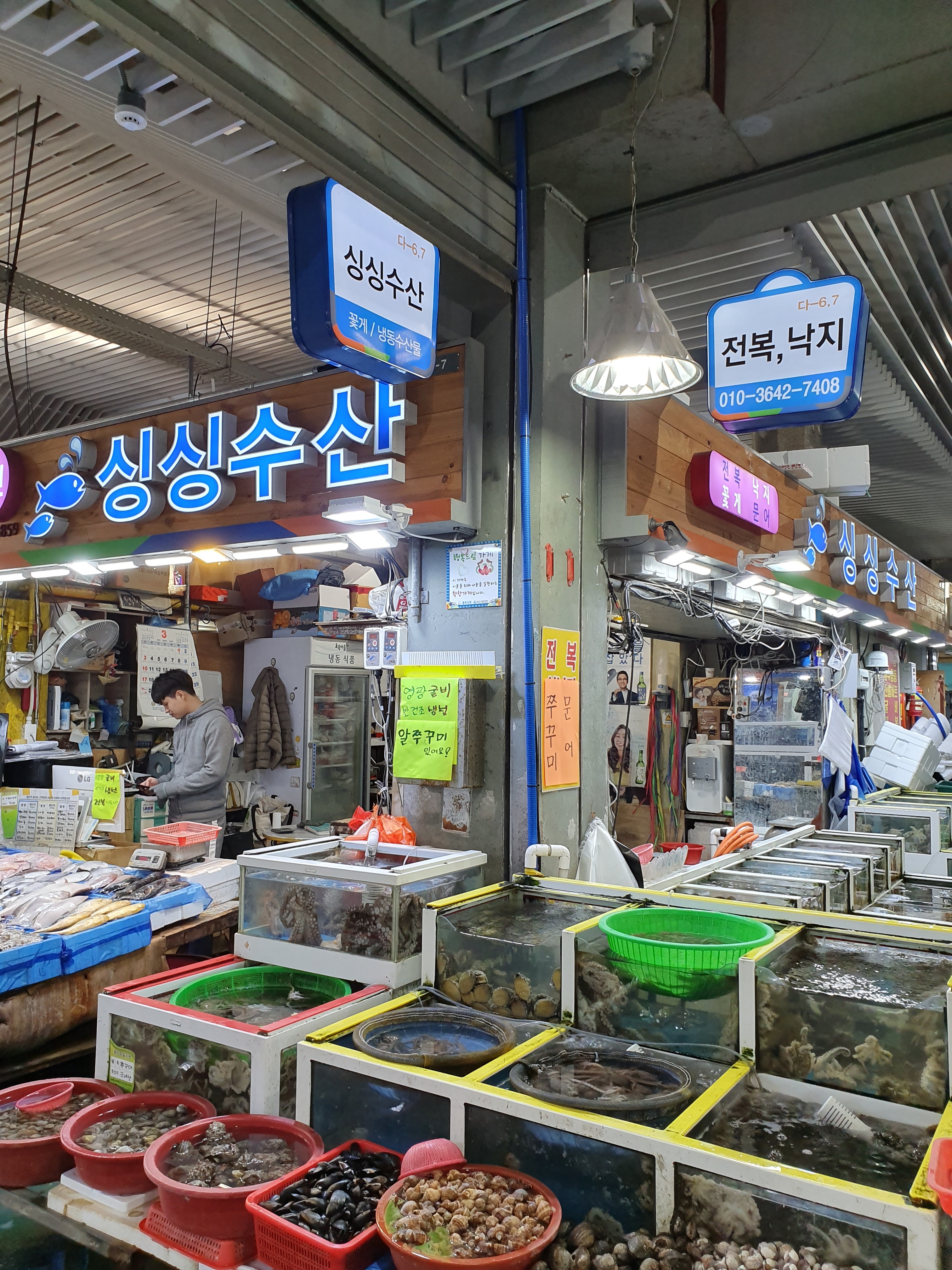 싱싱수산