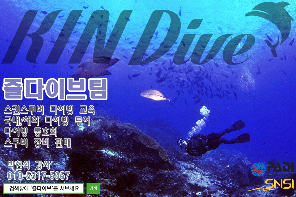 즐다이브