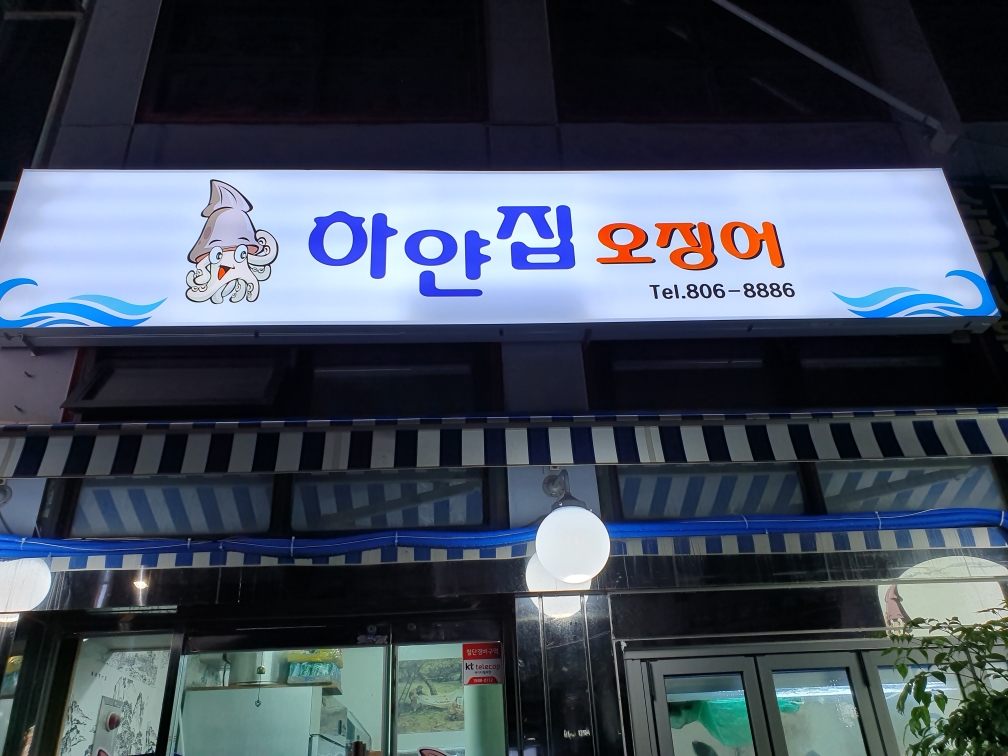 하얀집오징어