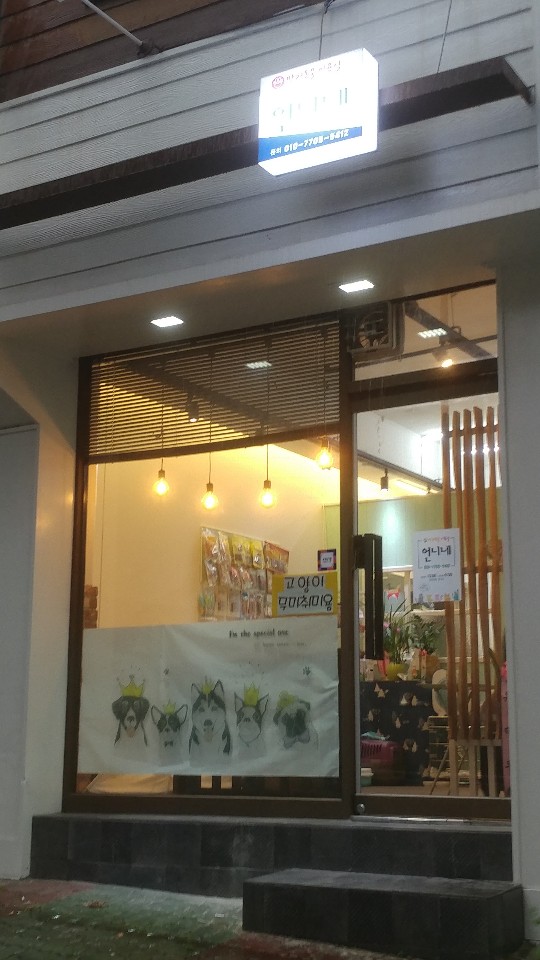 반려동물미용실 언니네 대표 이미지