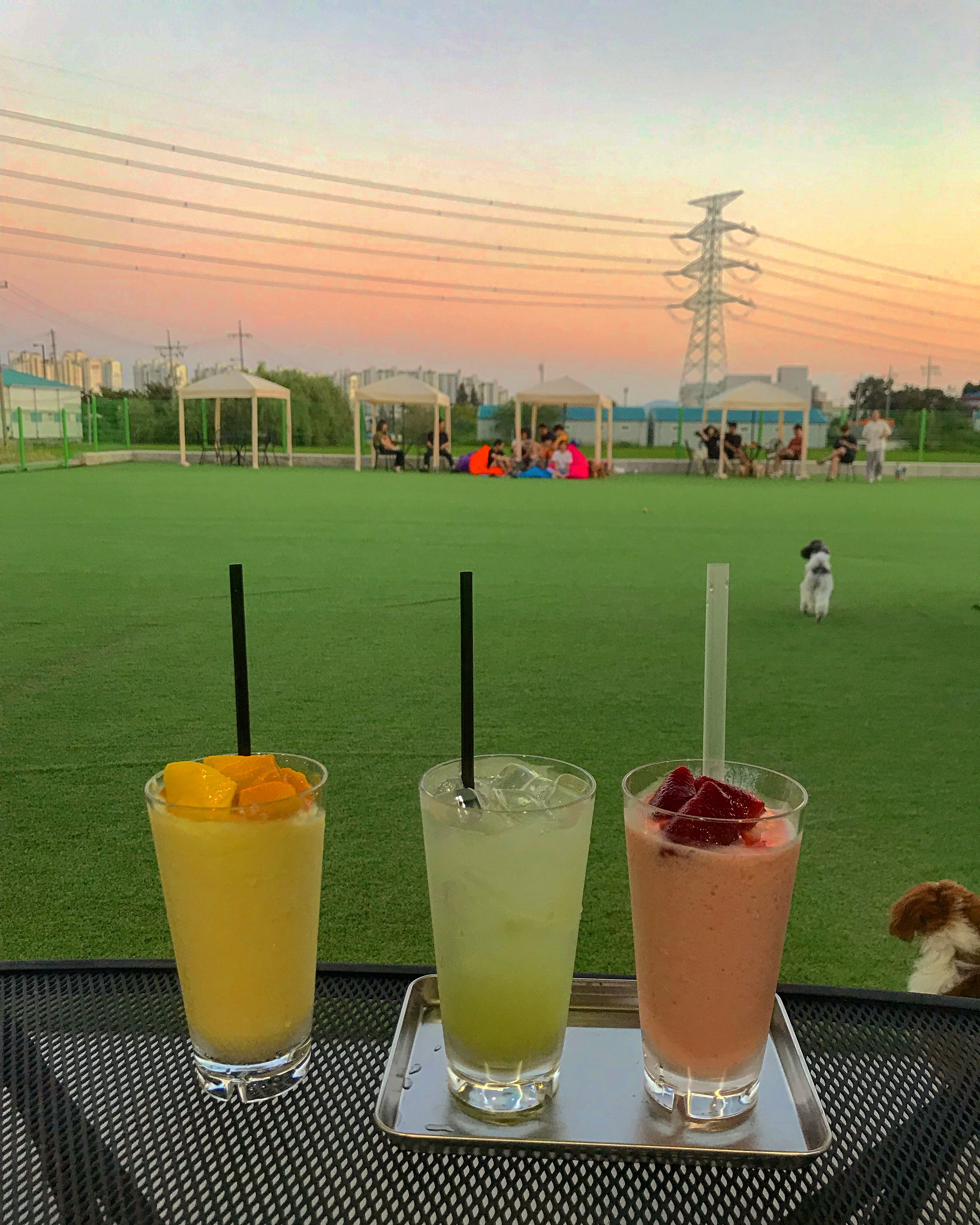 포켓멍스터 3