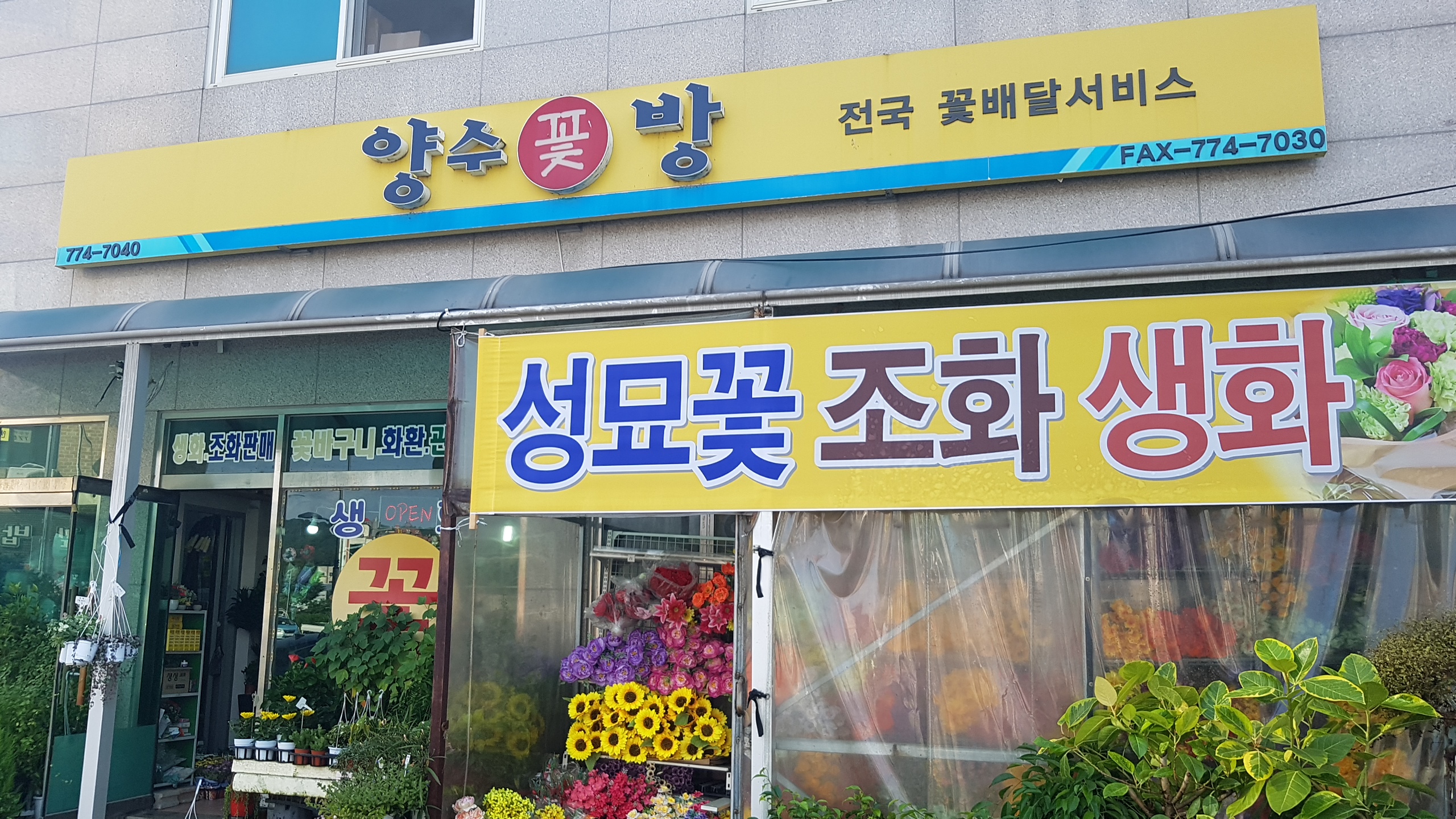 양수꽃방