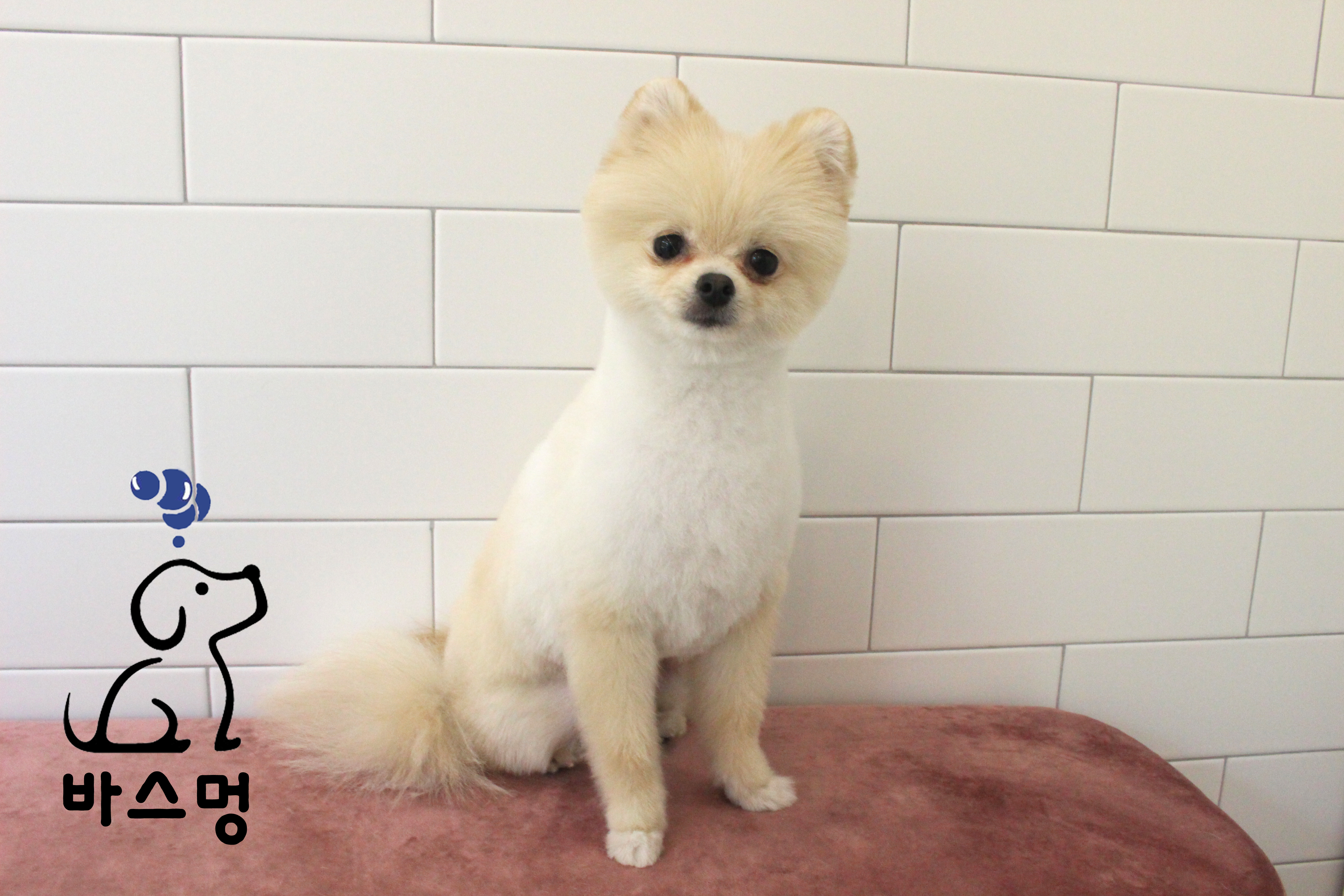 바스멍 대표 이미지