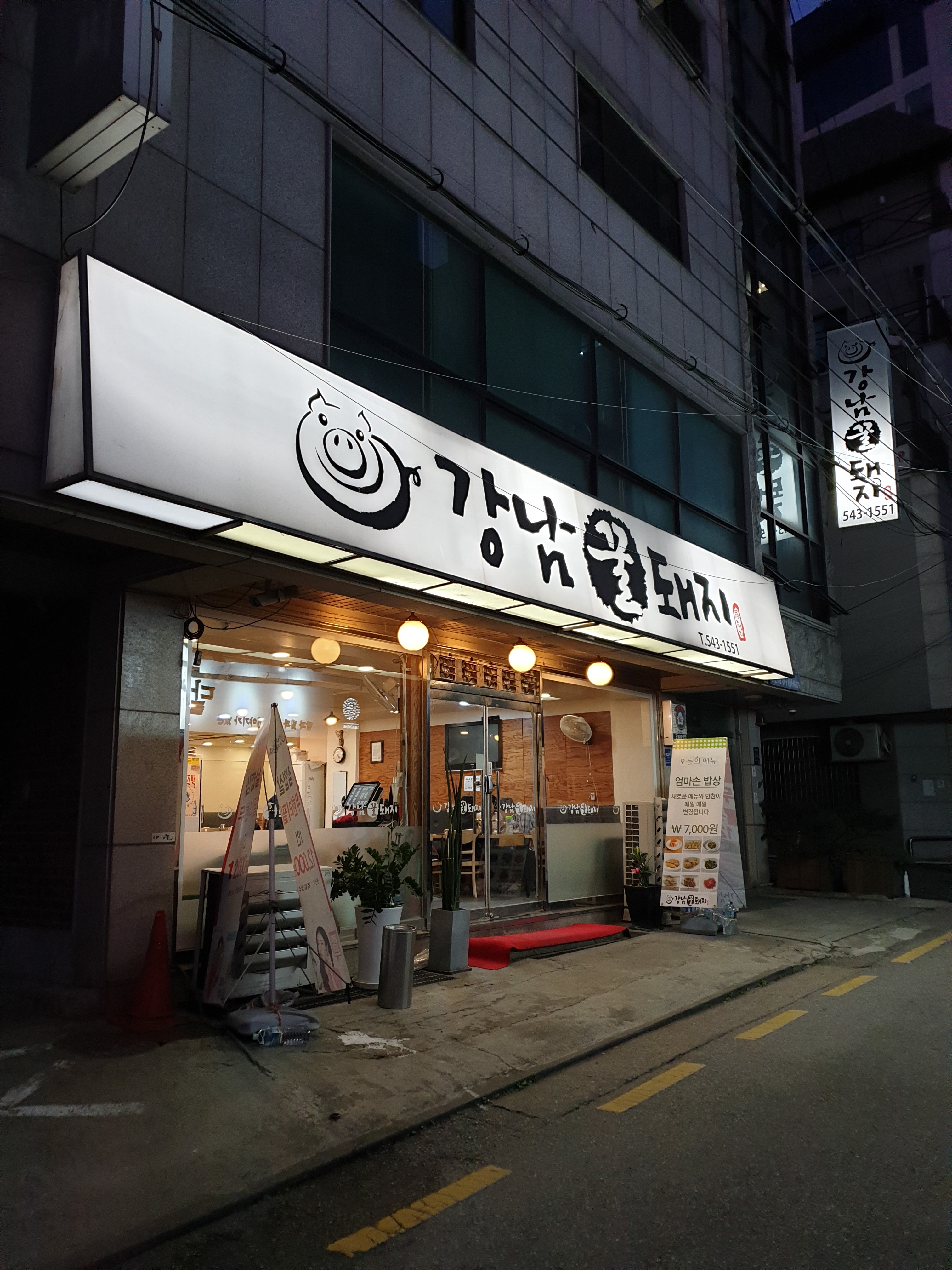 강남꿀돼지