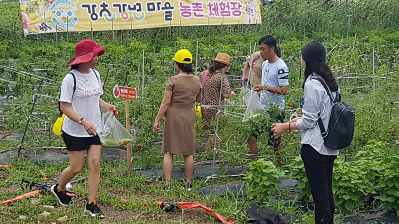강촌누리협동조합