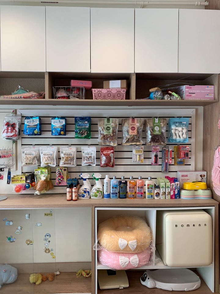 텐즈힐애견미용 대표 이미지