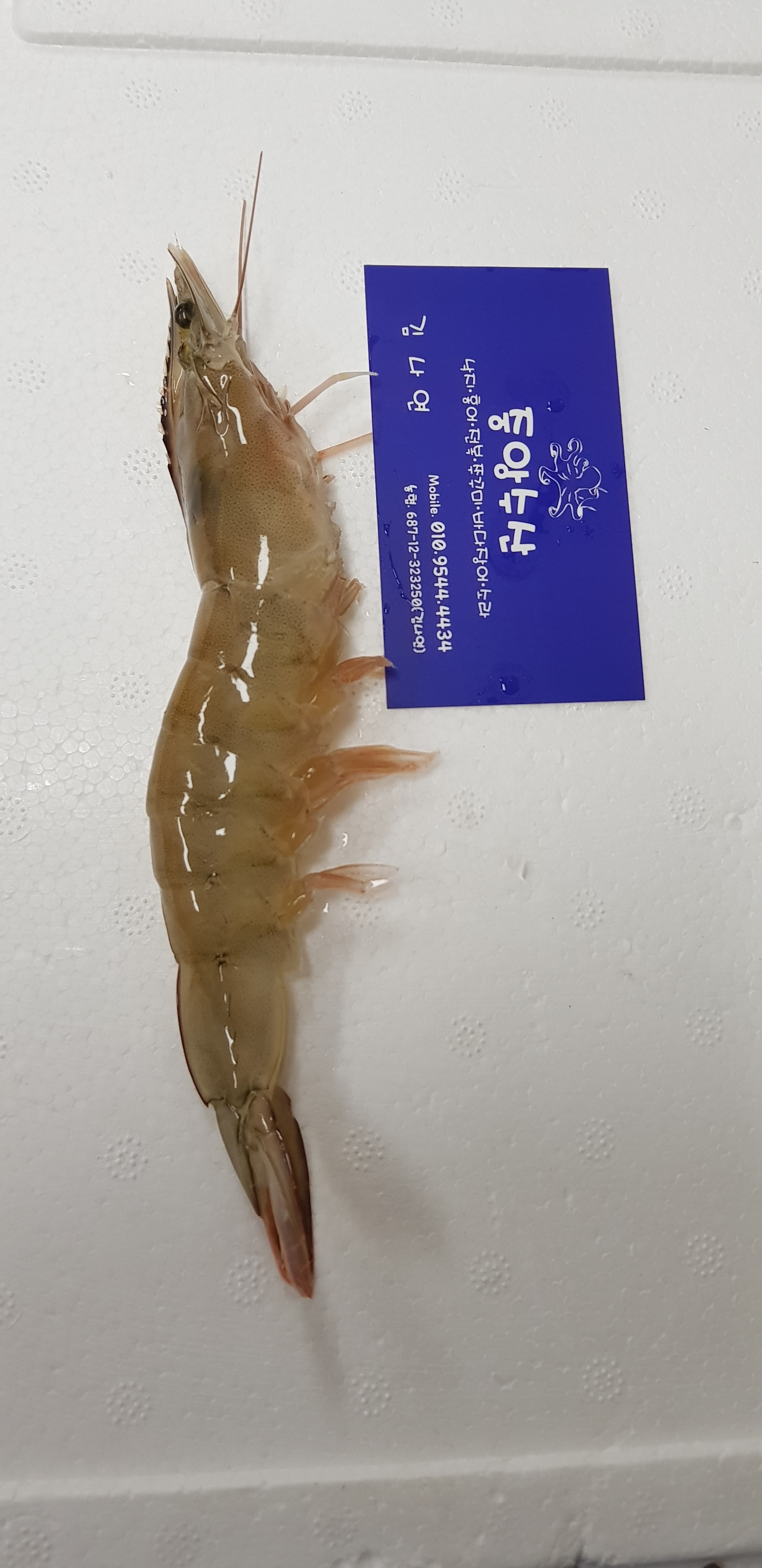 중앙수산
