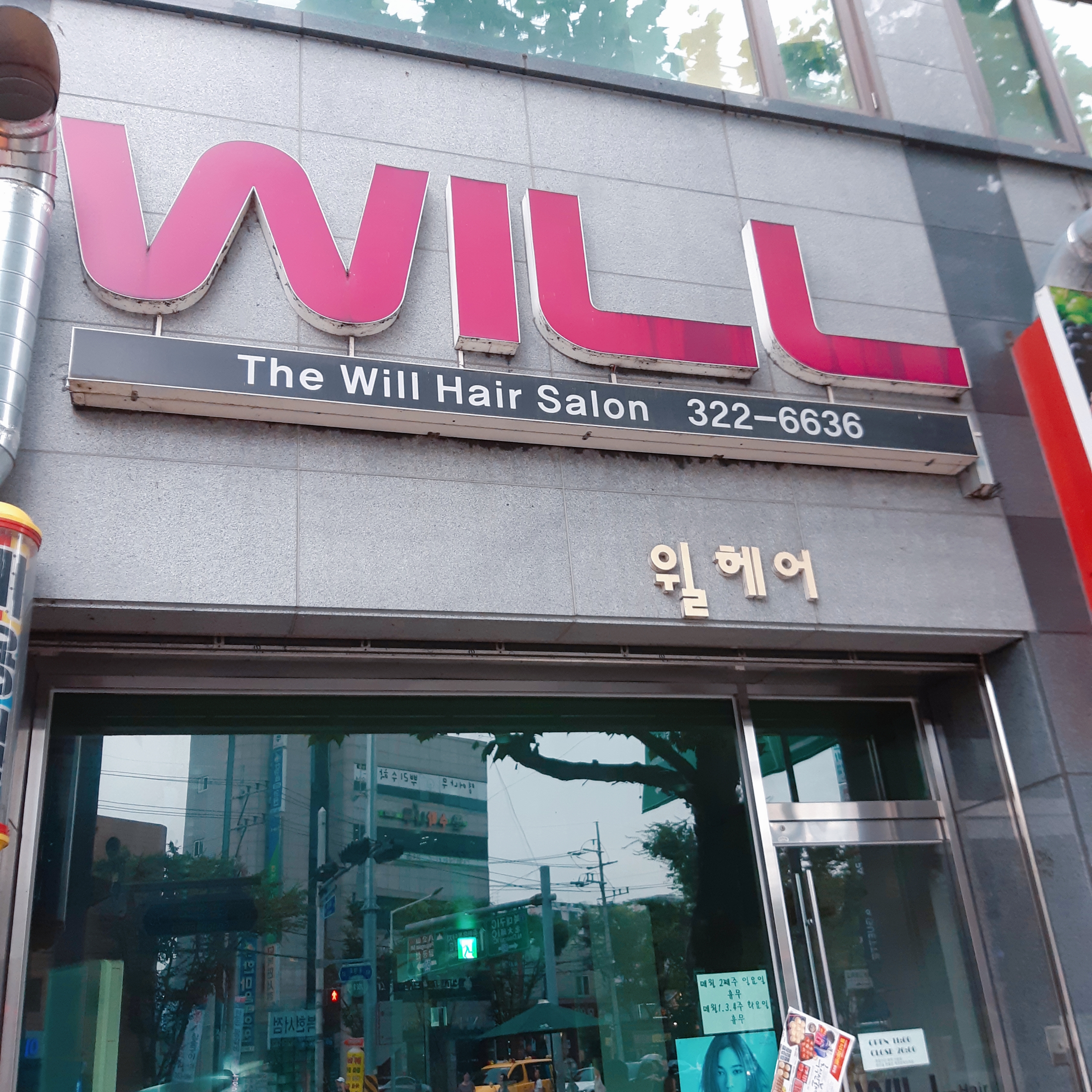 윌헤어