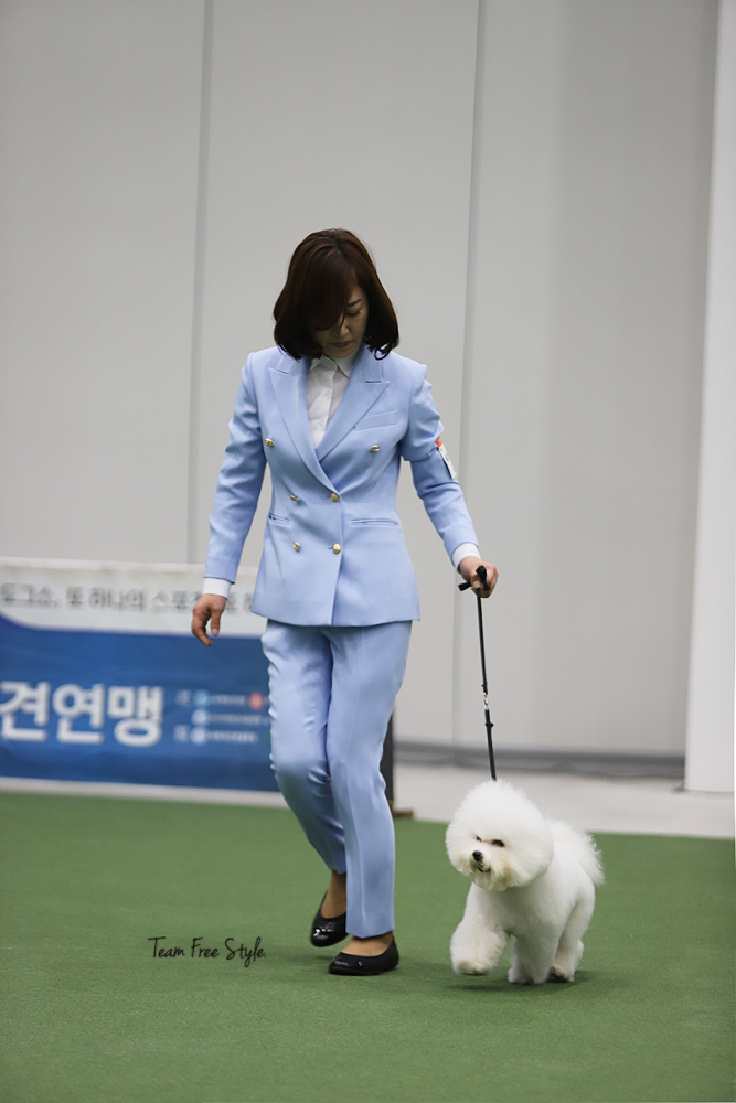 써니펫시터 대표 이미지