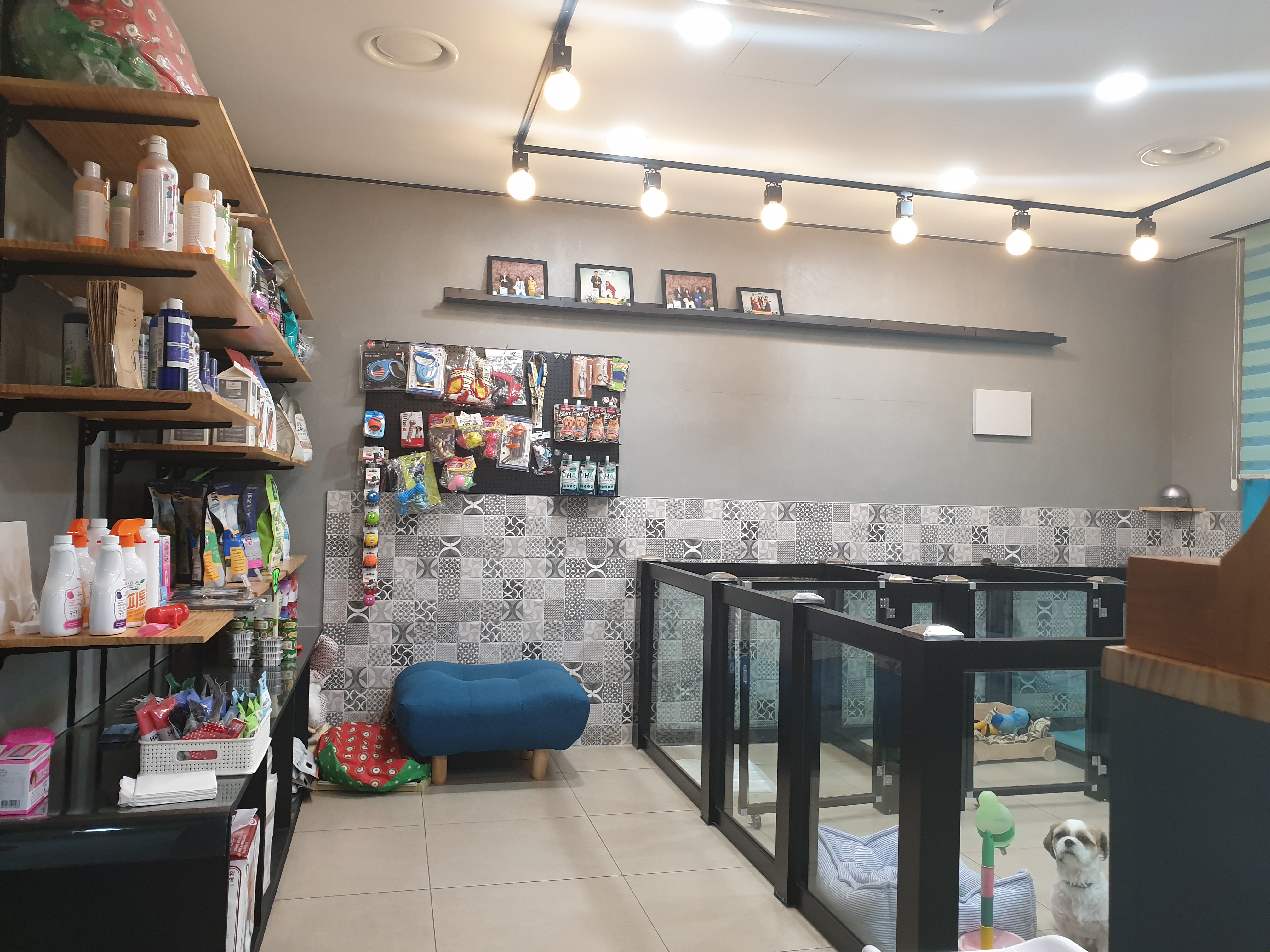 써니펫시터 대표 이미지