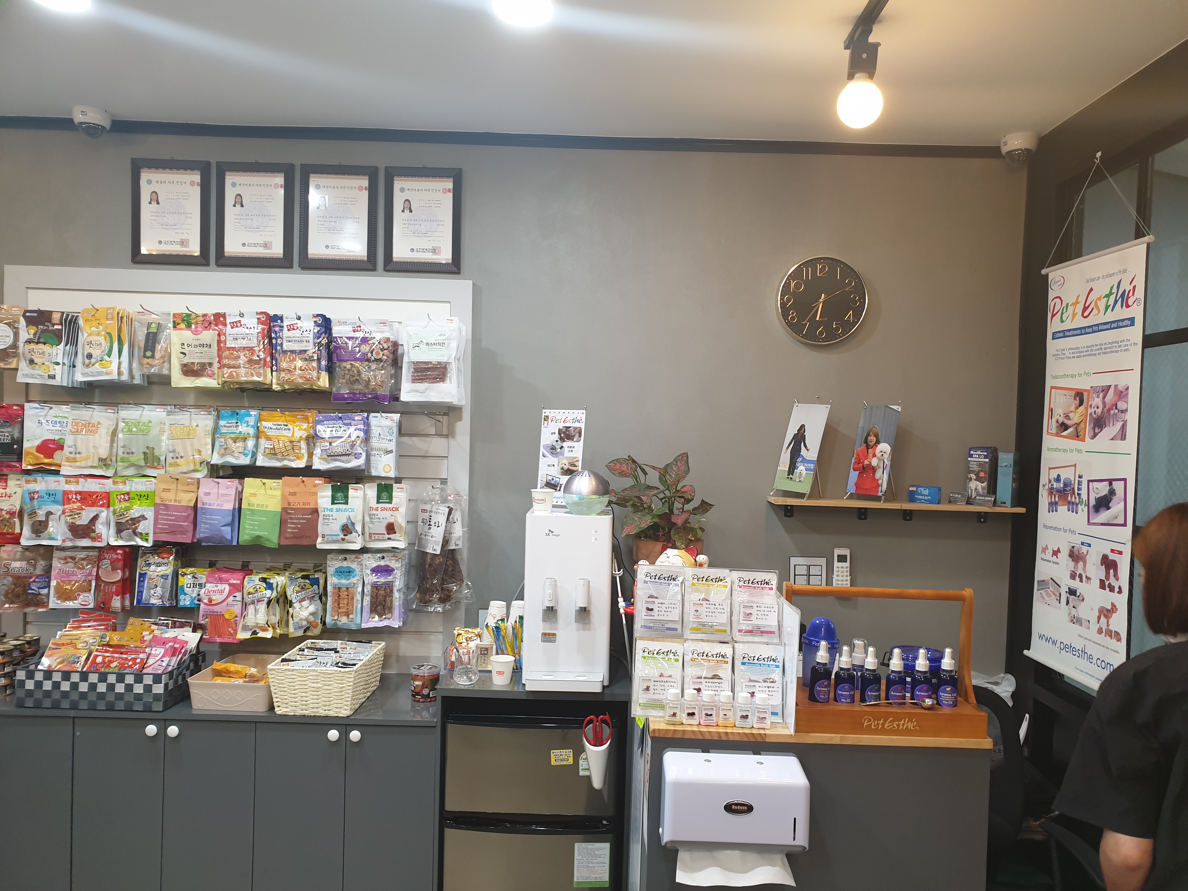 써니펫시터 대표 이미지