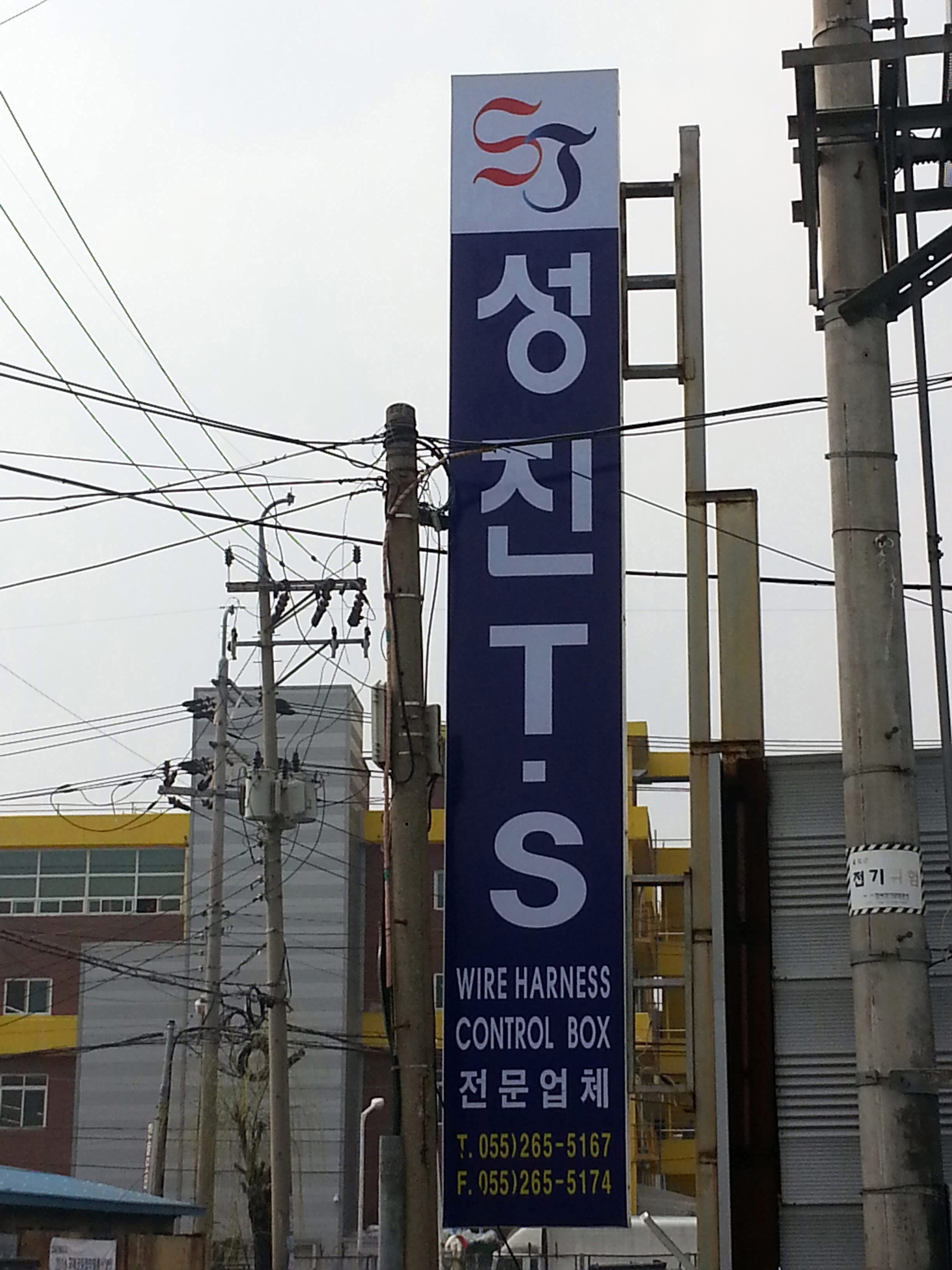 성진TS