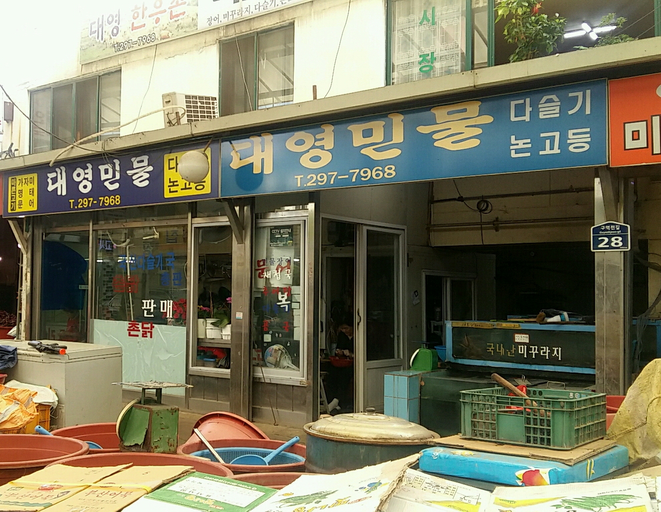 대영민물고기