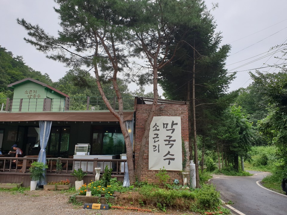 소근리막국수 경기 애견맛집