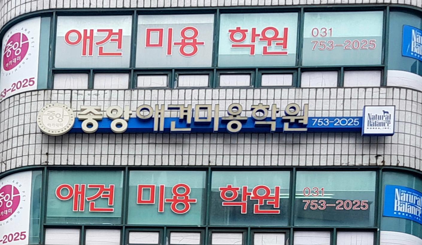 중앙애견미용학원 성남모란점