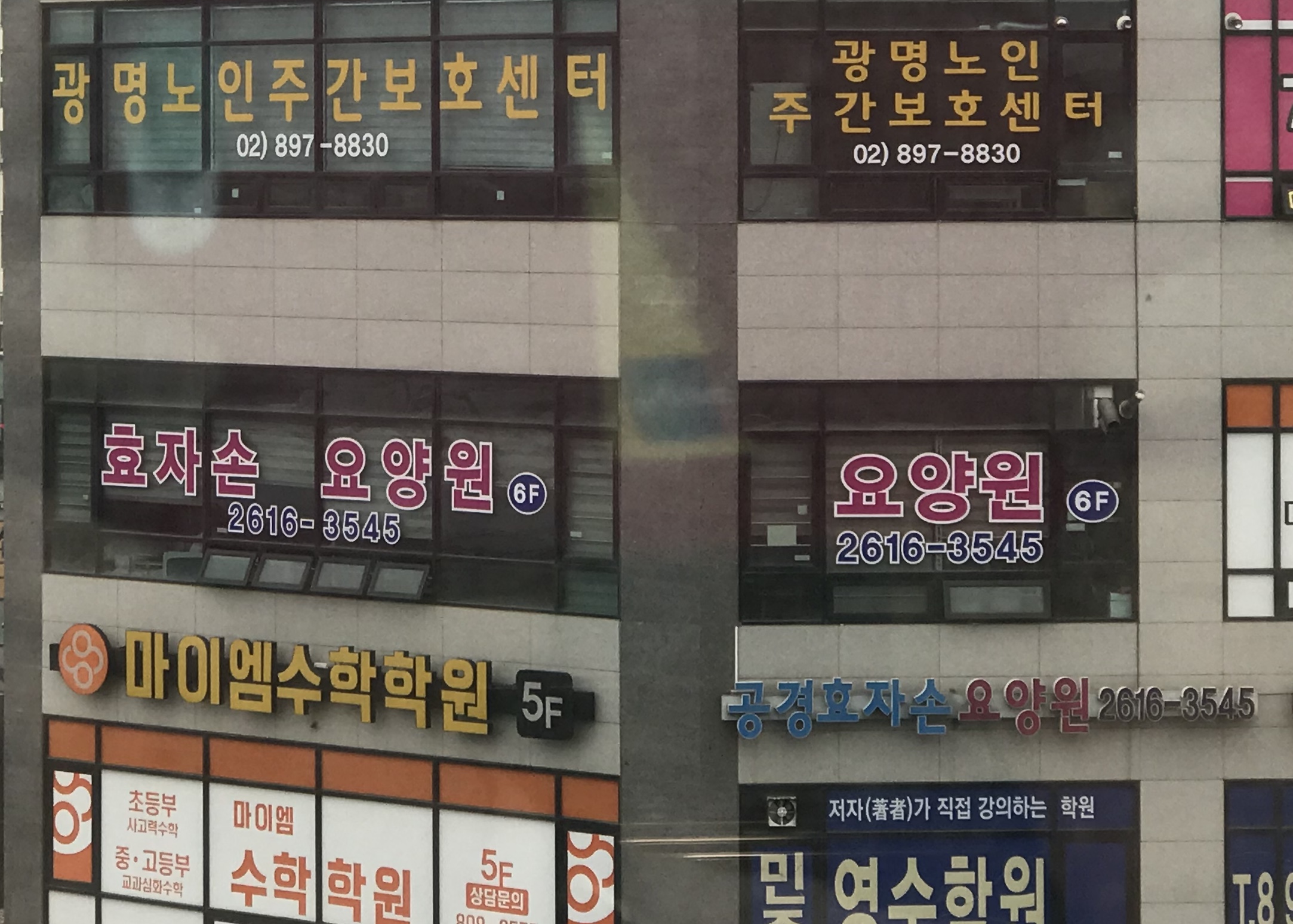 공경효자손요양원