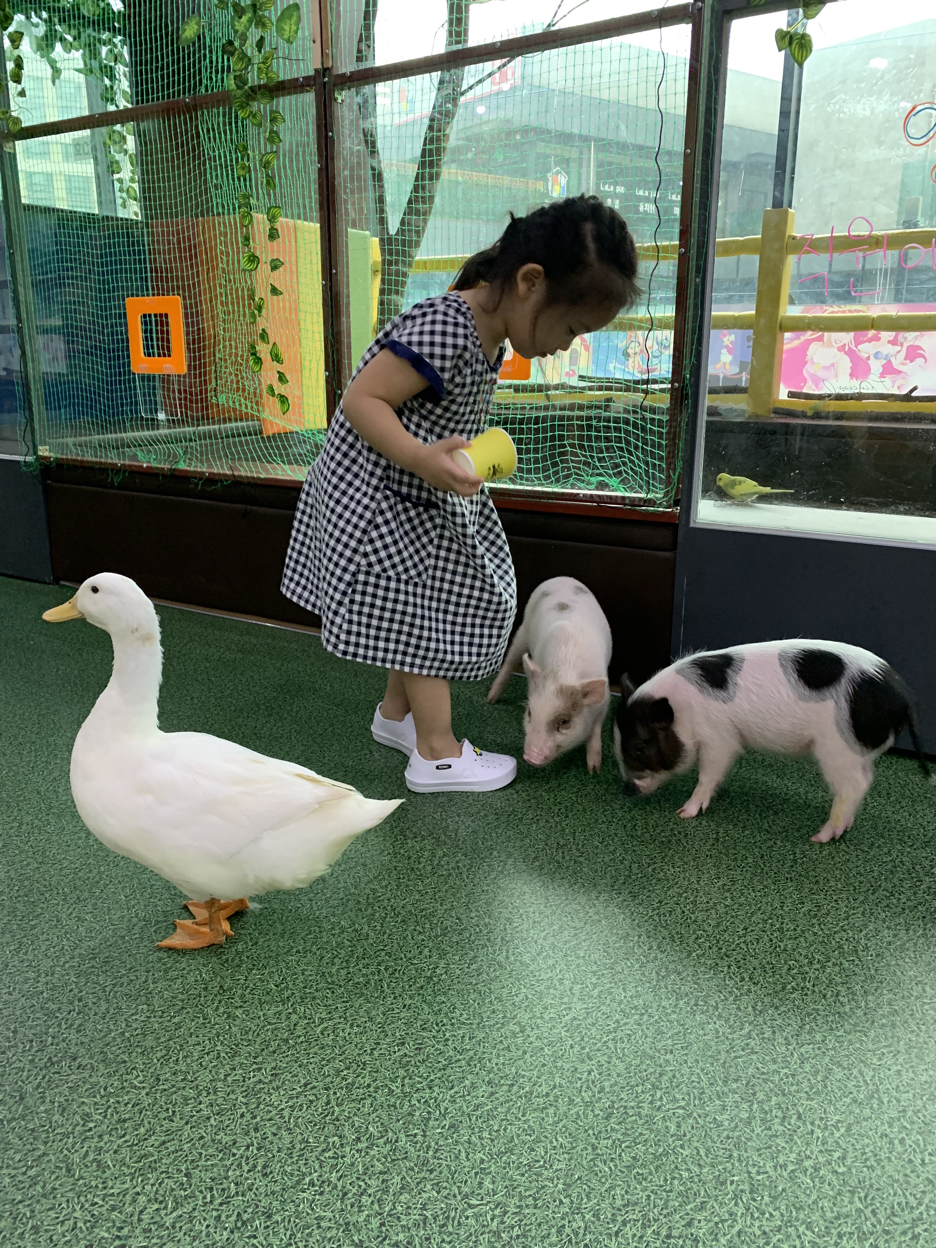 해피주 동물카페 2