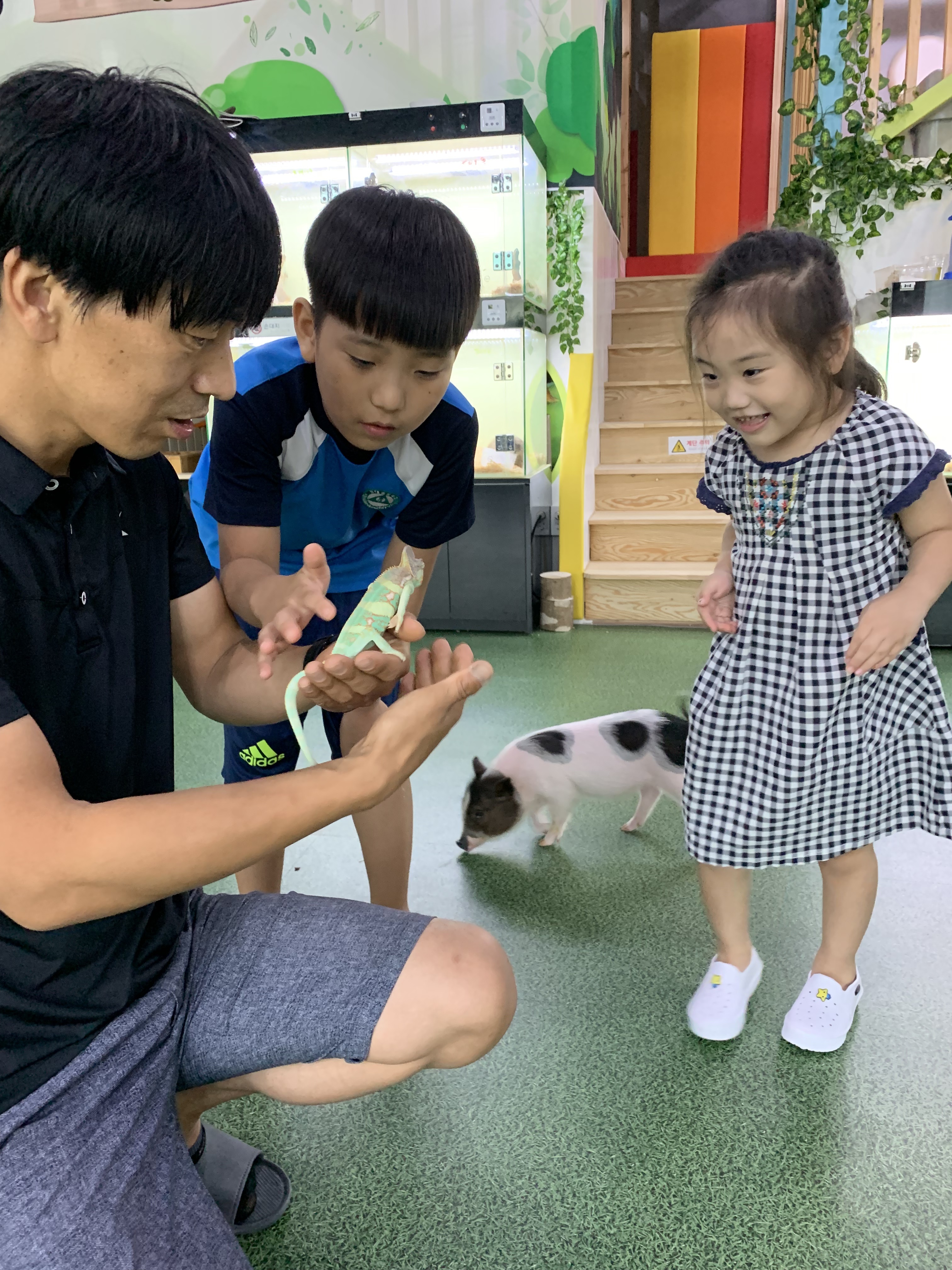 해피주 동물카페 3