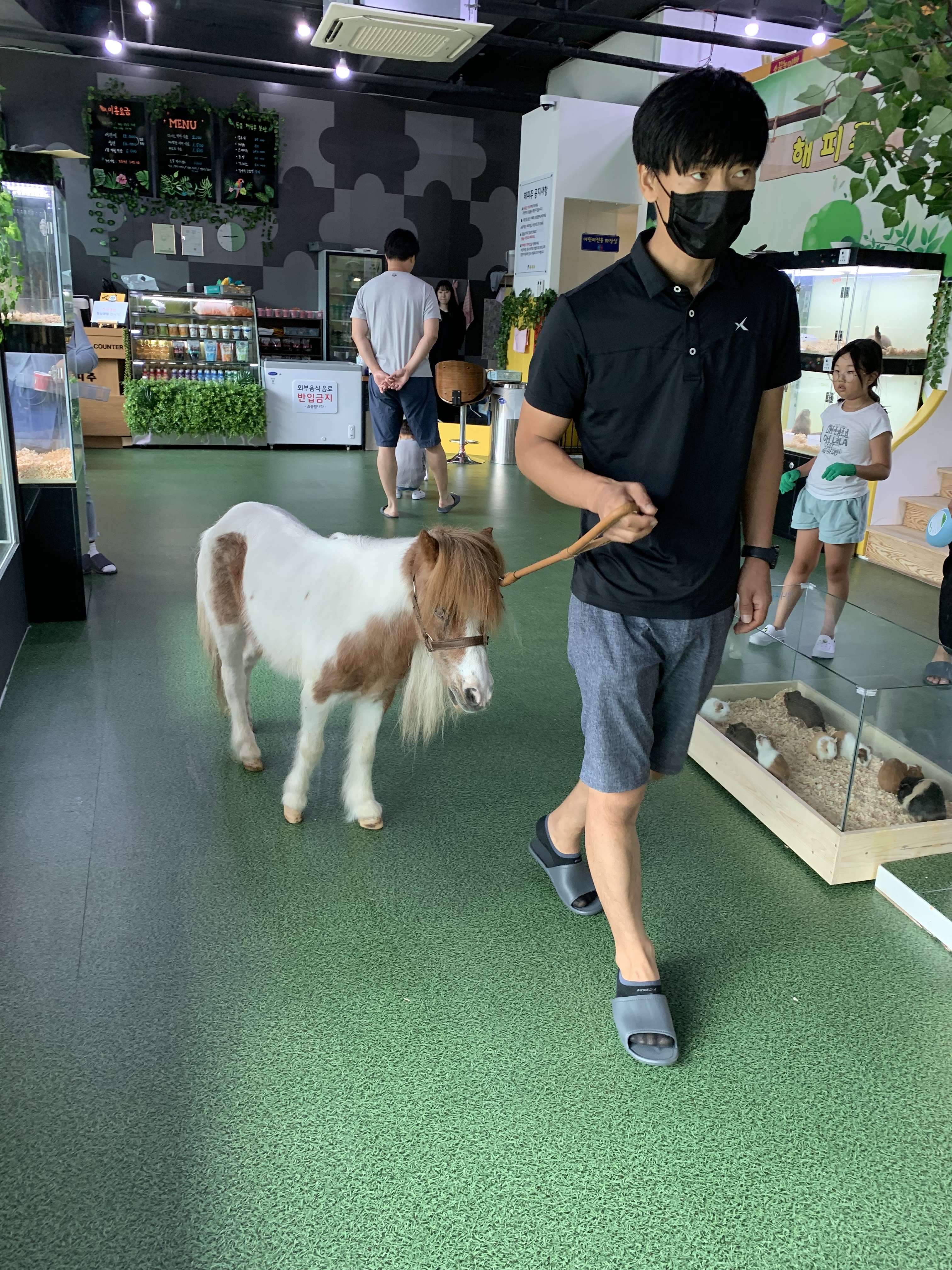 해피주 동물카페 반려동물 동반 애견카페