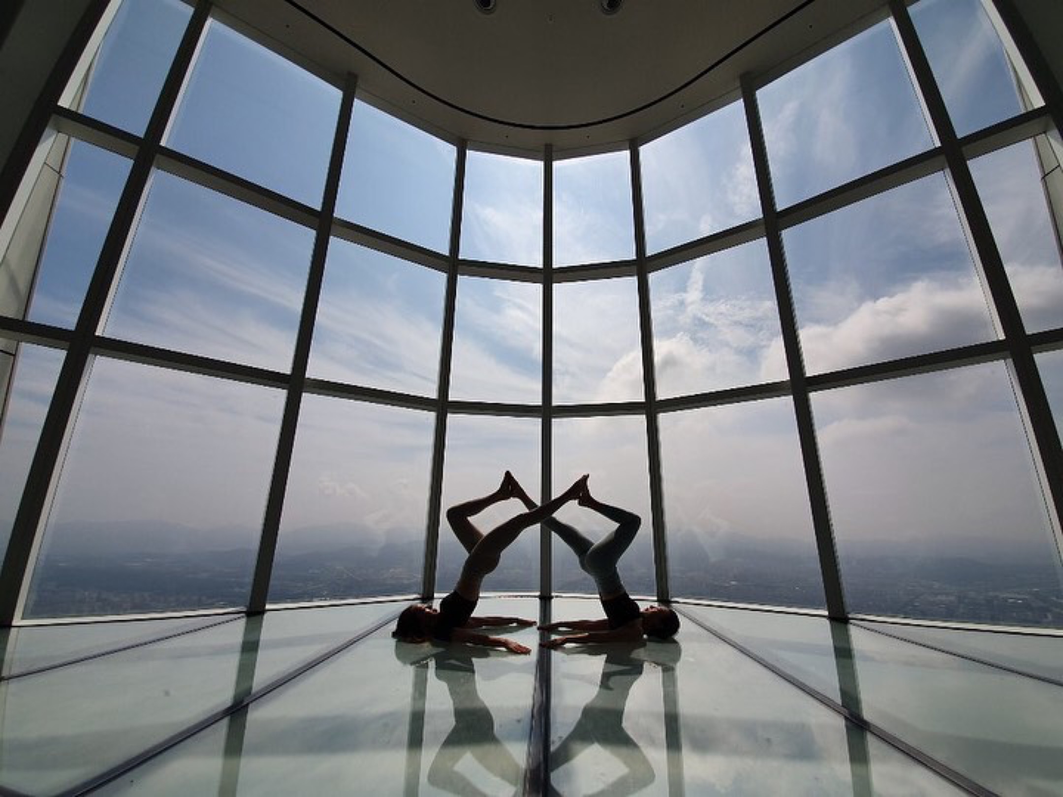 아메리카요가 대표 이미지