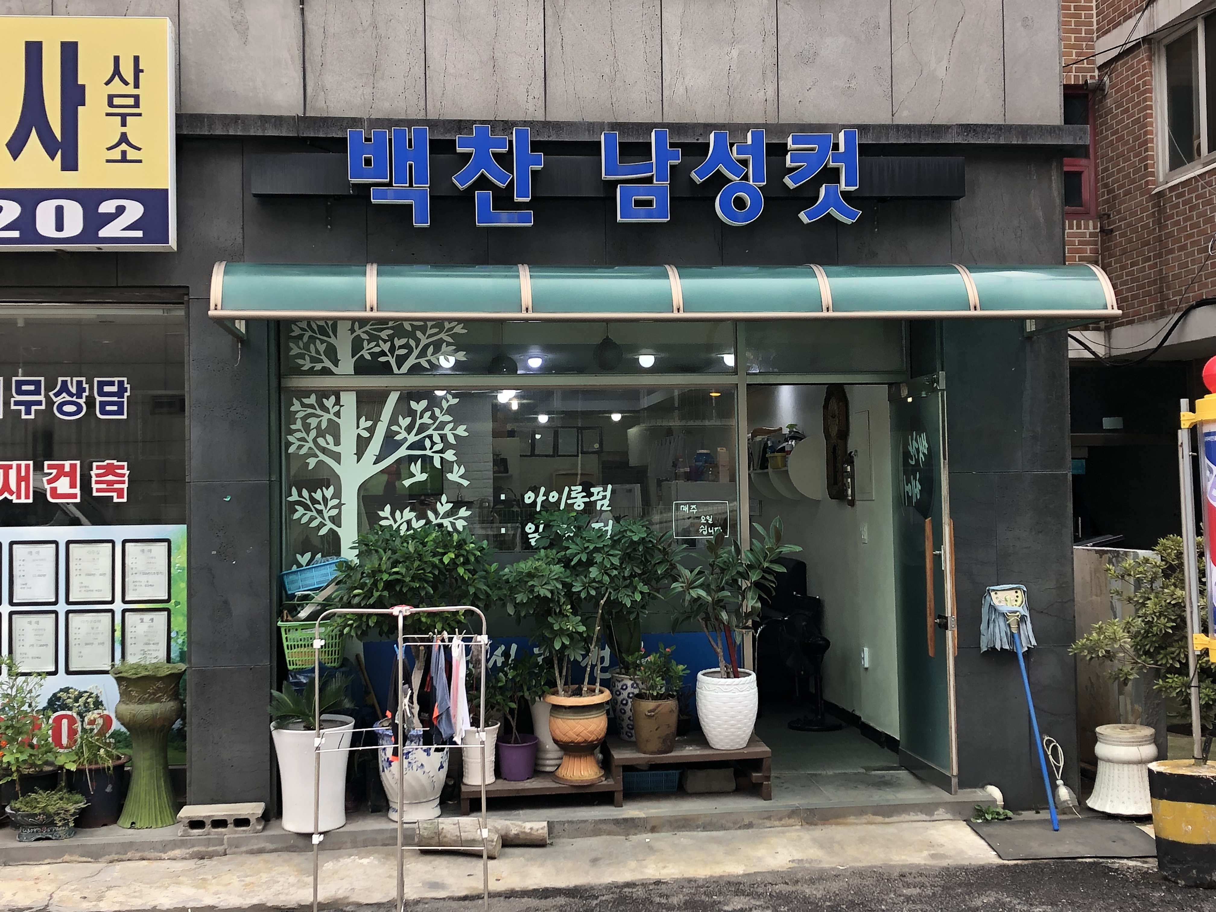백찬남성컷