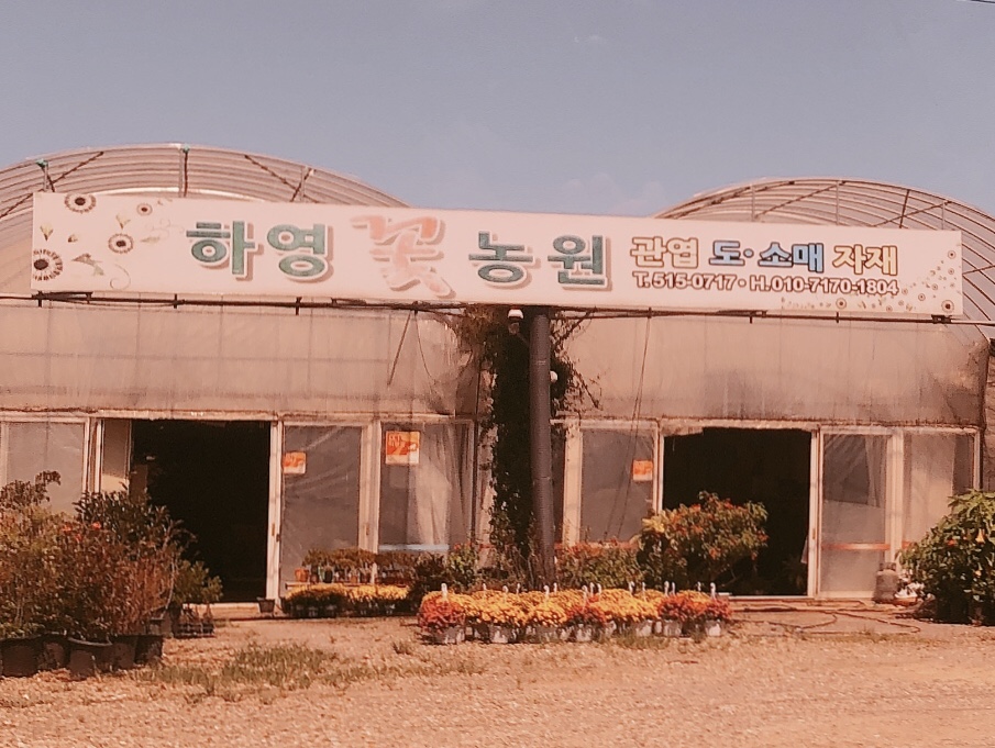 하영꽃농원