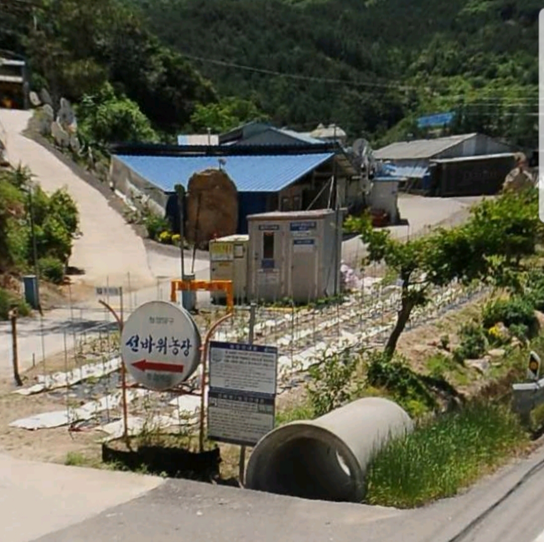 선바위농장