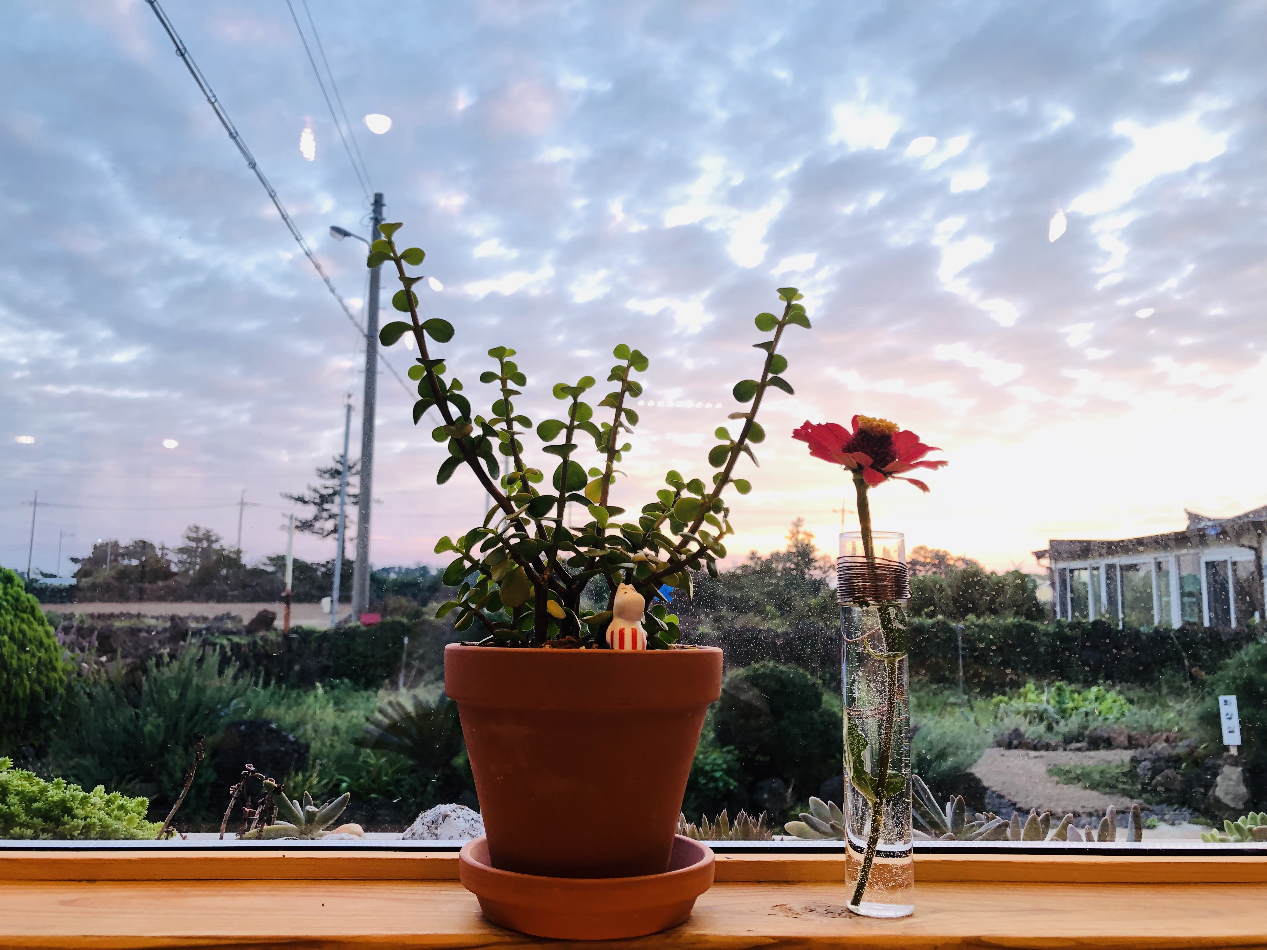 쓰쓰카페 대표 이미지