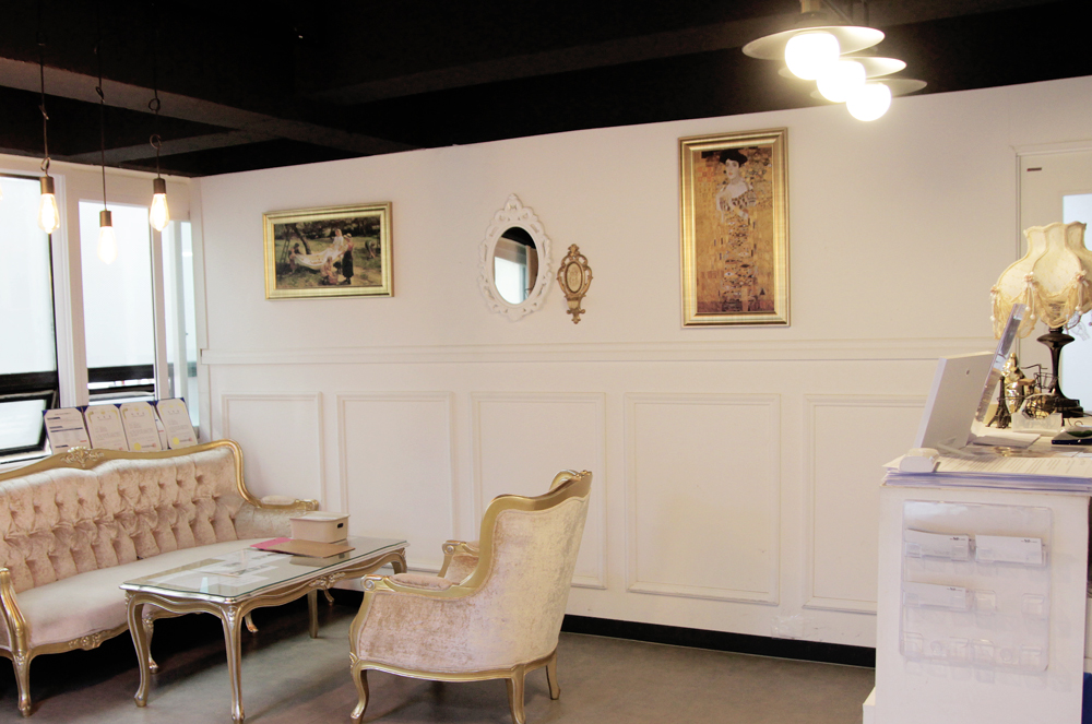 돌봄 강아지분양 대표 이미지