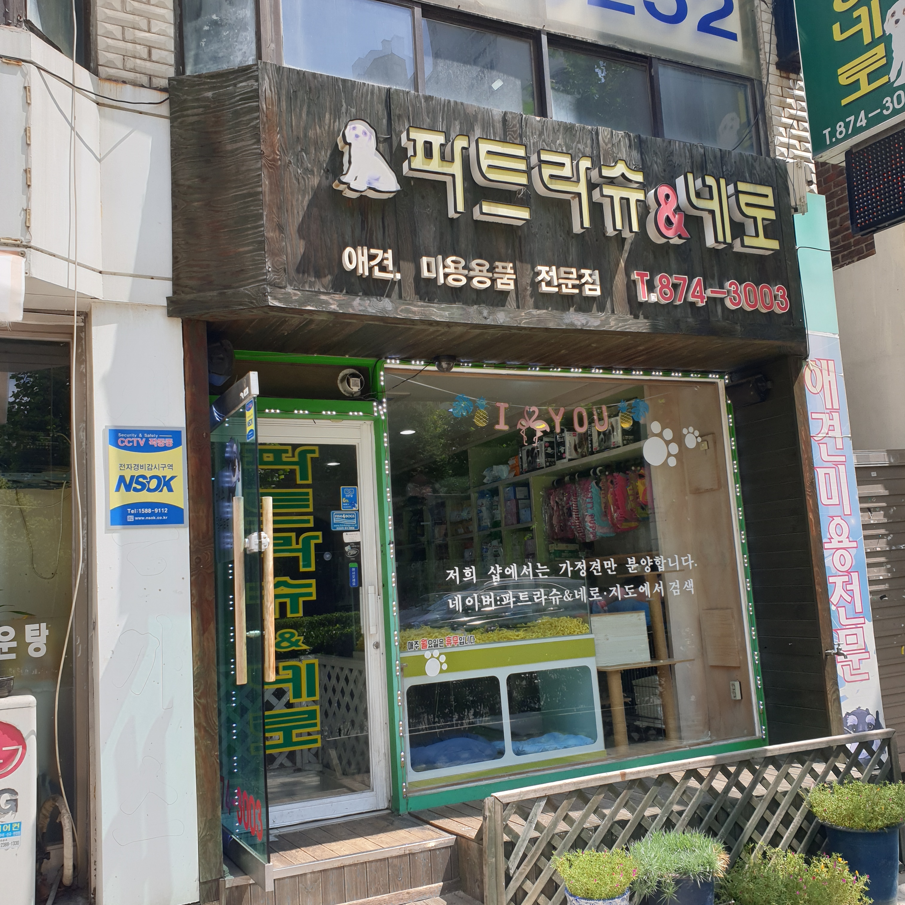 파트라슈&네로 대표 이미지