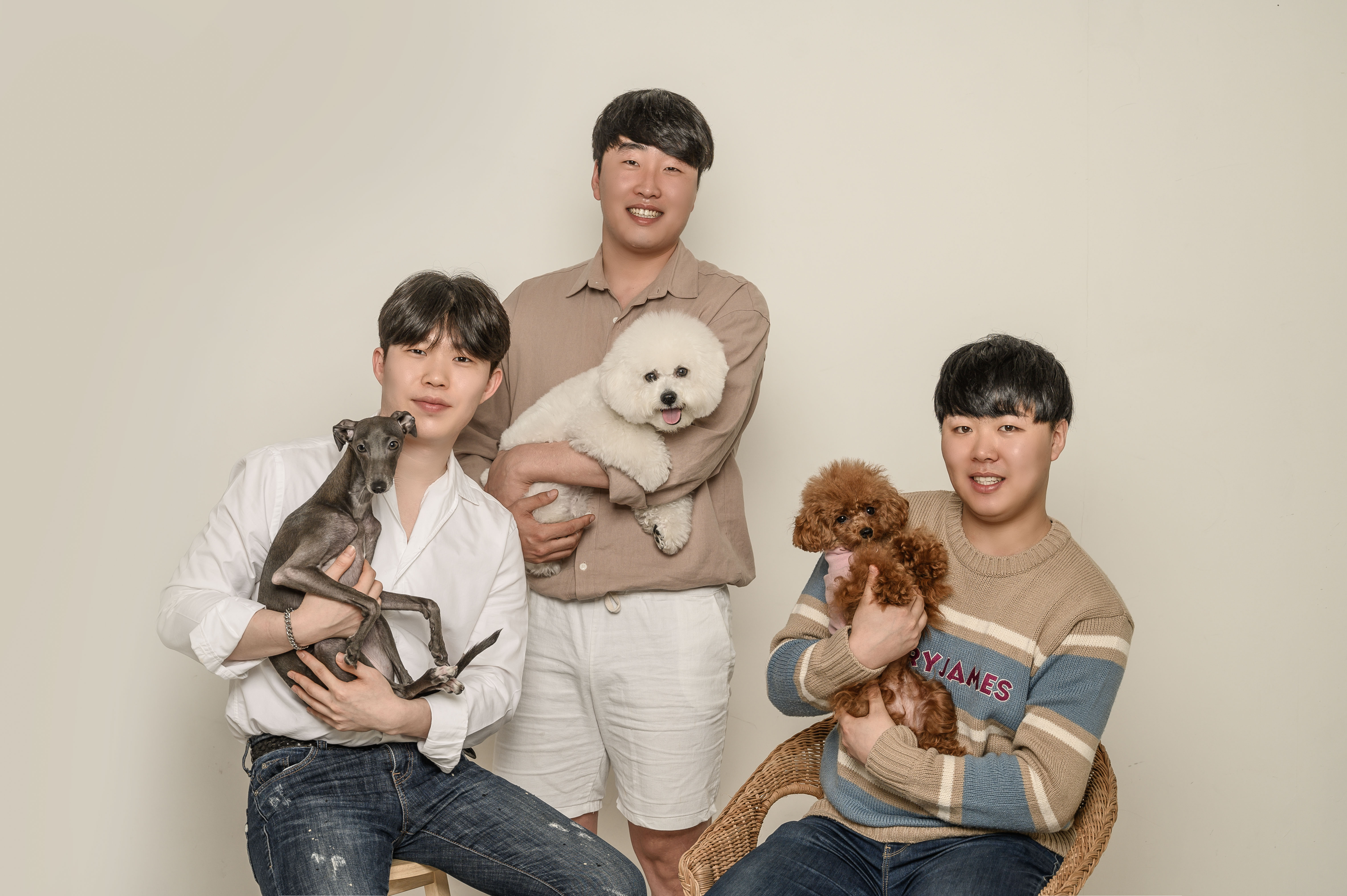 돌봄 강아지분양 대표 이미지