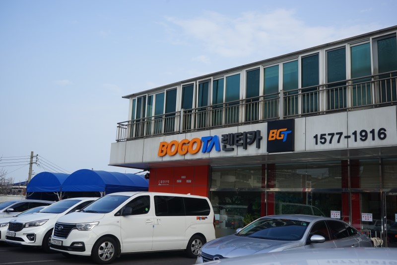 제주보고타 대표 이미지