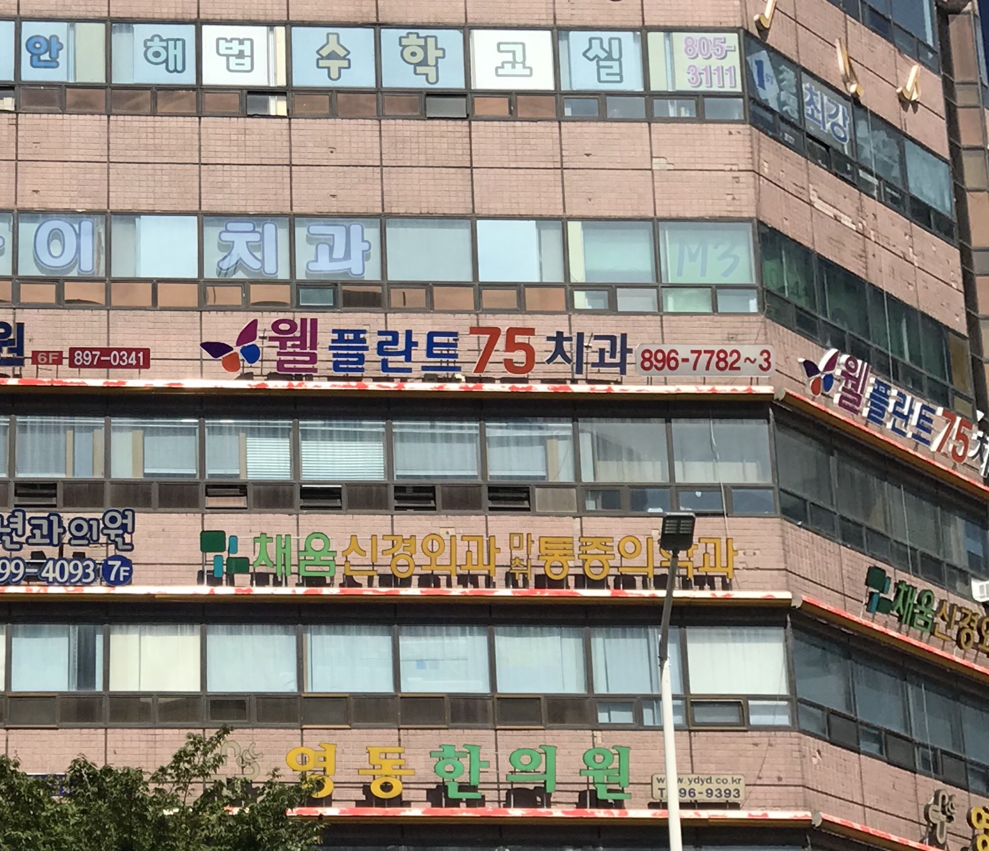 웰플란트75치과의원 대표 이미지