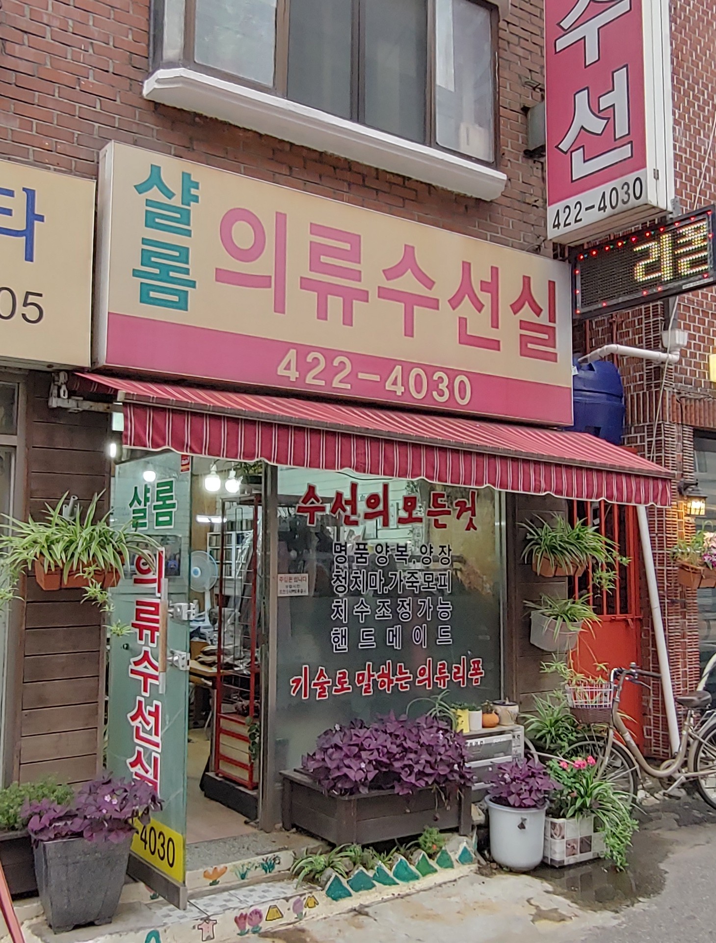 샬롬