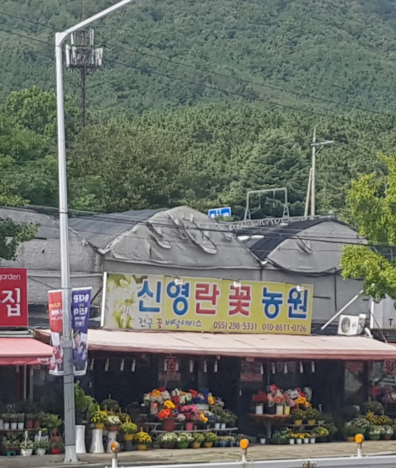 신영란꽃농원
