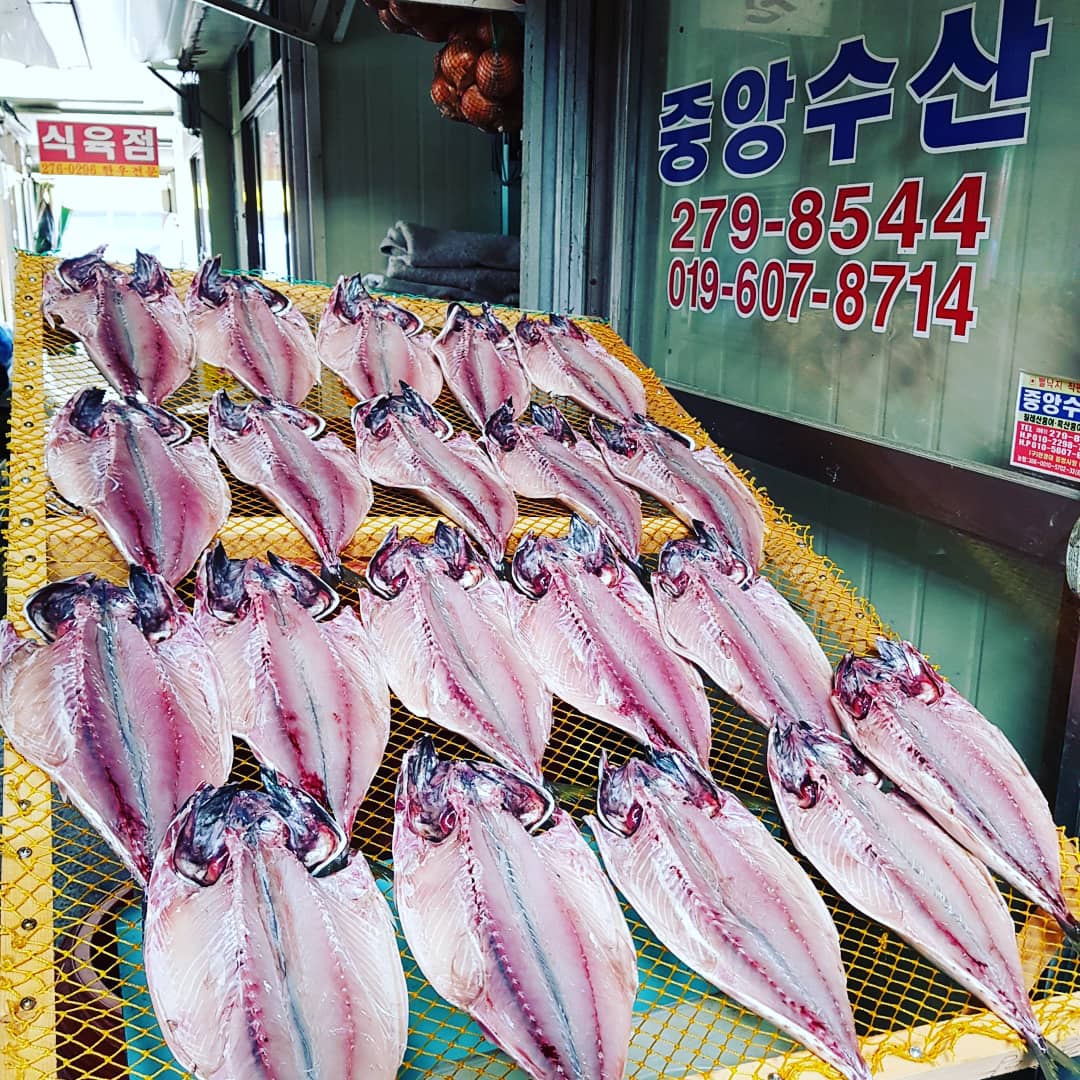 중앙수산