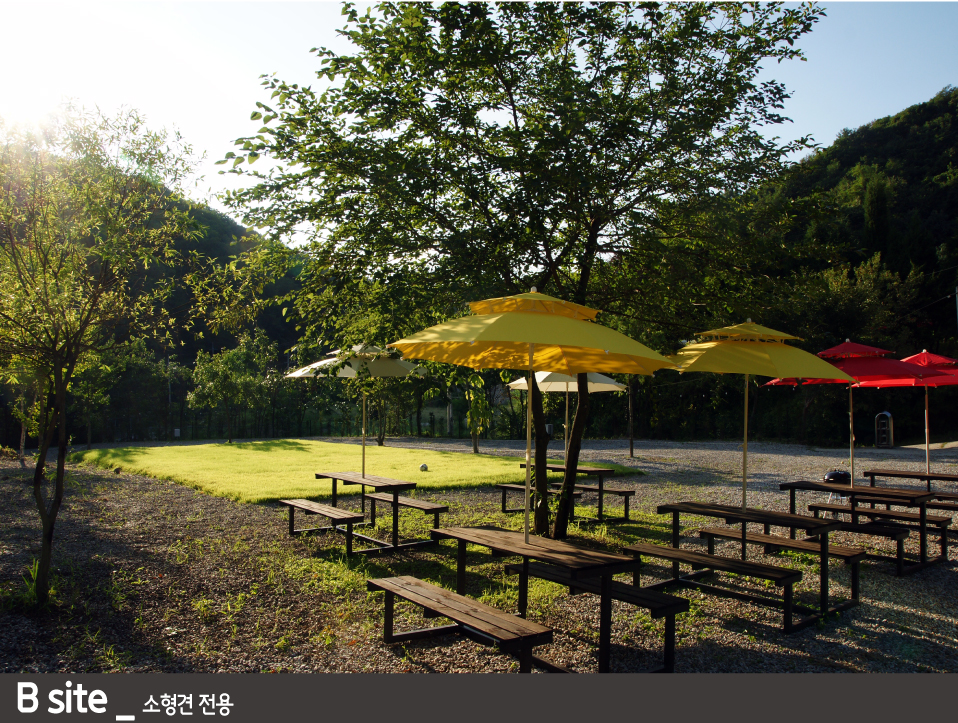 양주 감악산 캠핑장