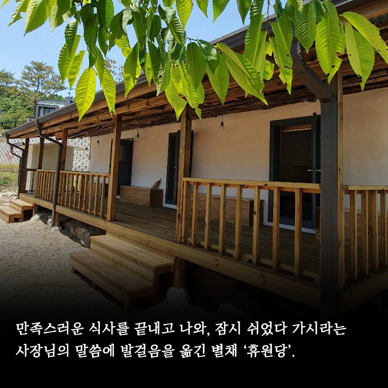 설원다식 경기 애견맛집