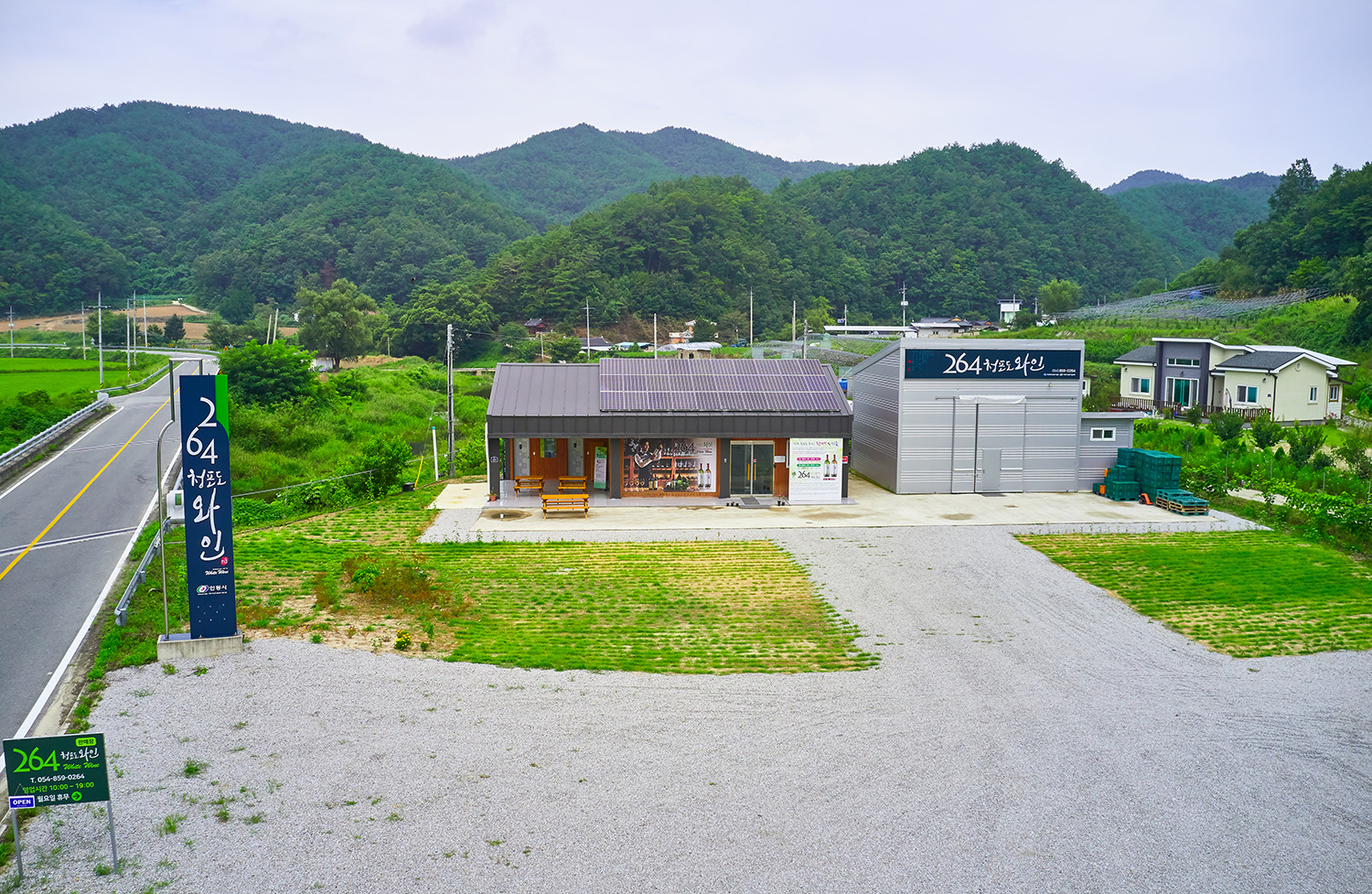 264청포도와인