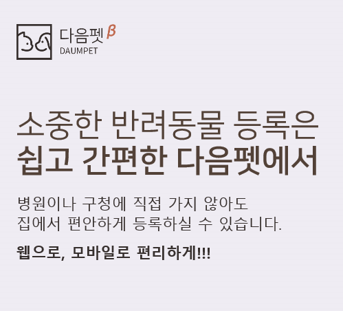다음펫 대표 이미지
